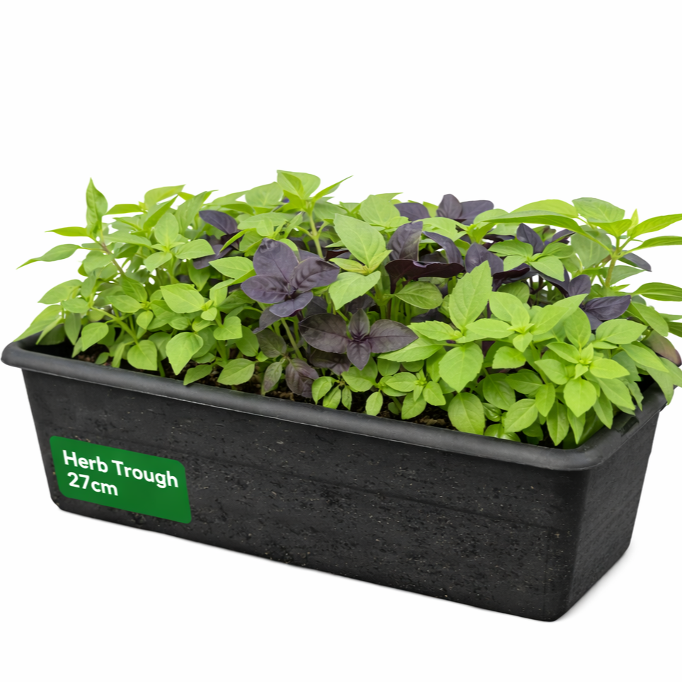 Herb%2BTrough%2B27cm.png