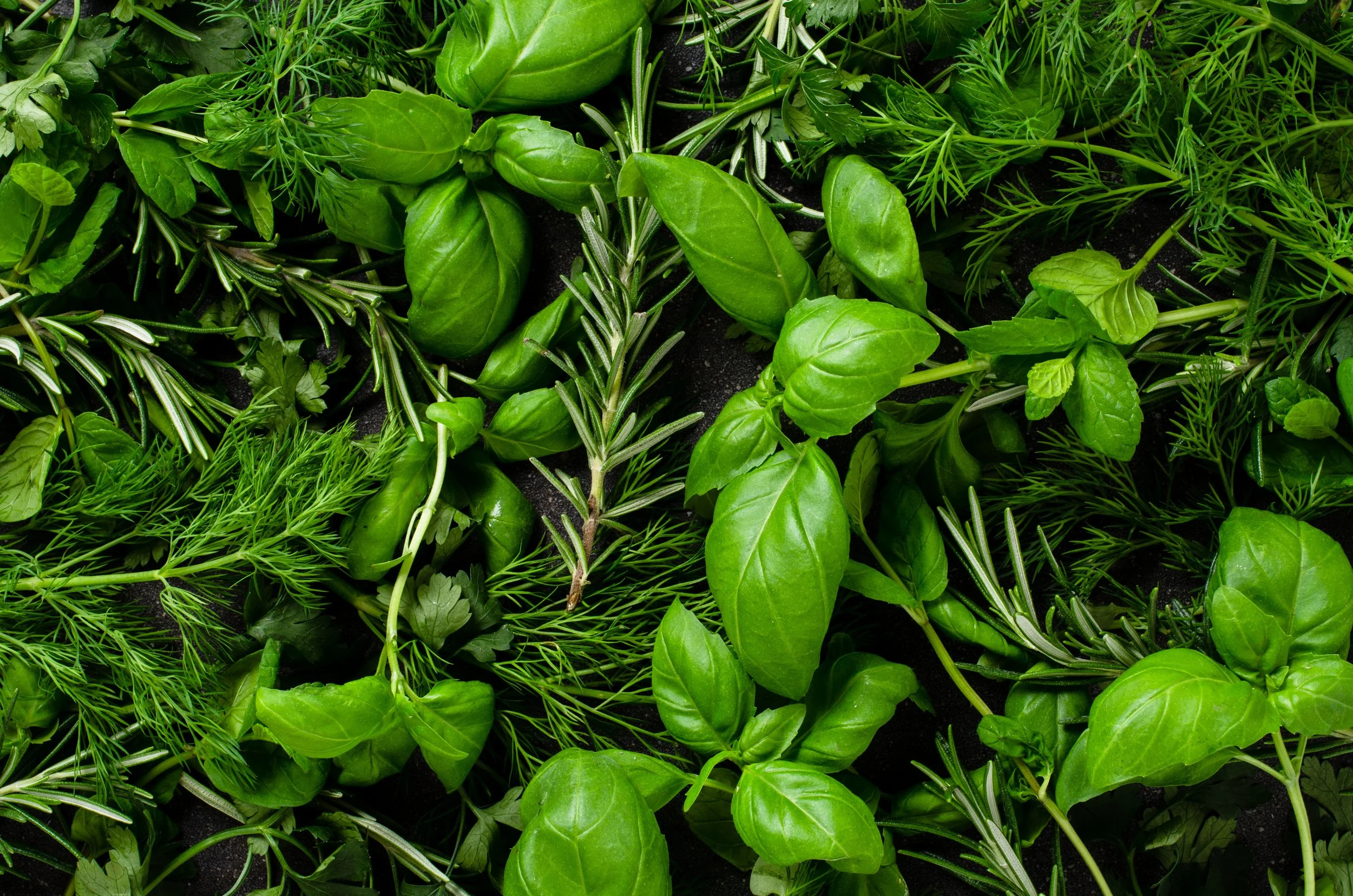 Fresh green herbs including basil, rosemary, dill, and cilantro, arranged closely together.