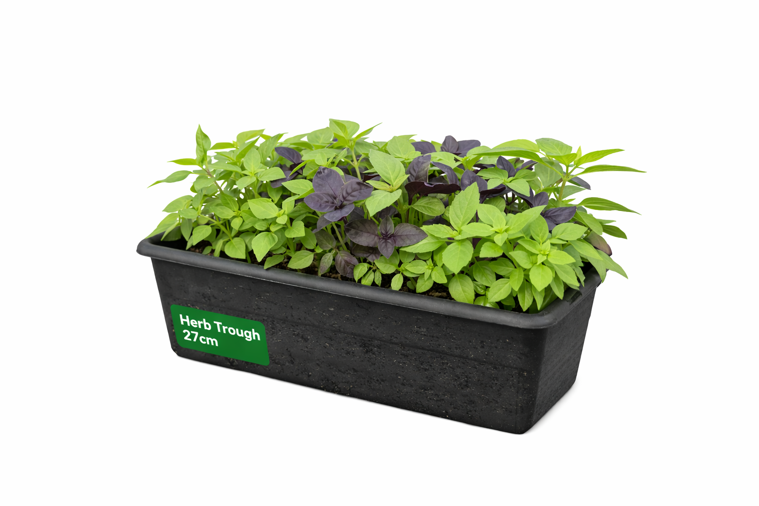 Herb Trough 27cm