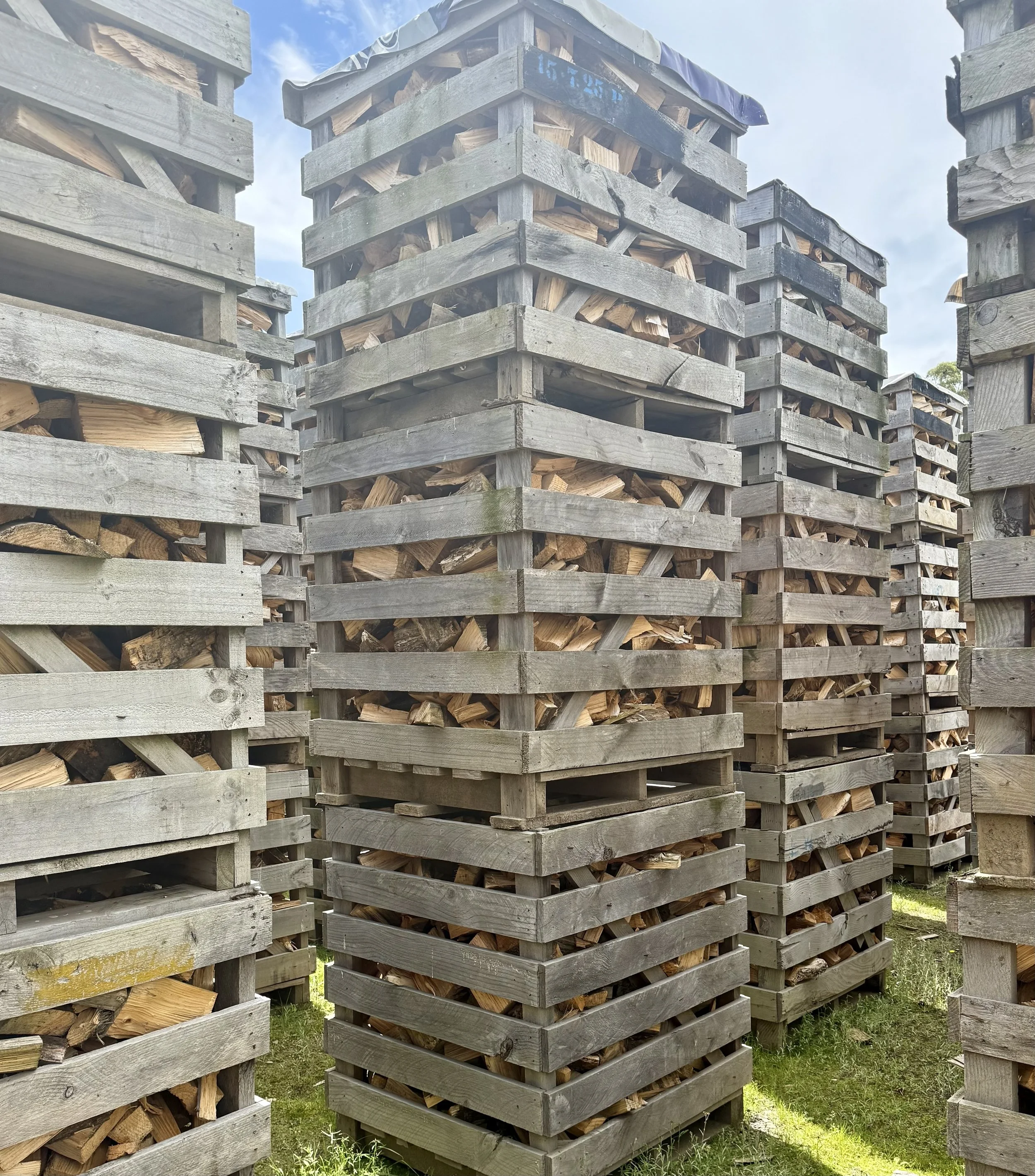 Stacks of firewood stored in wooden pallets outdoors.