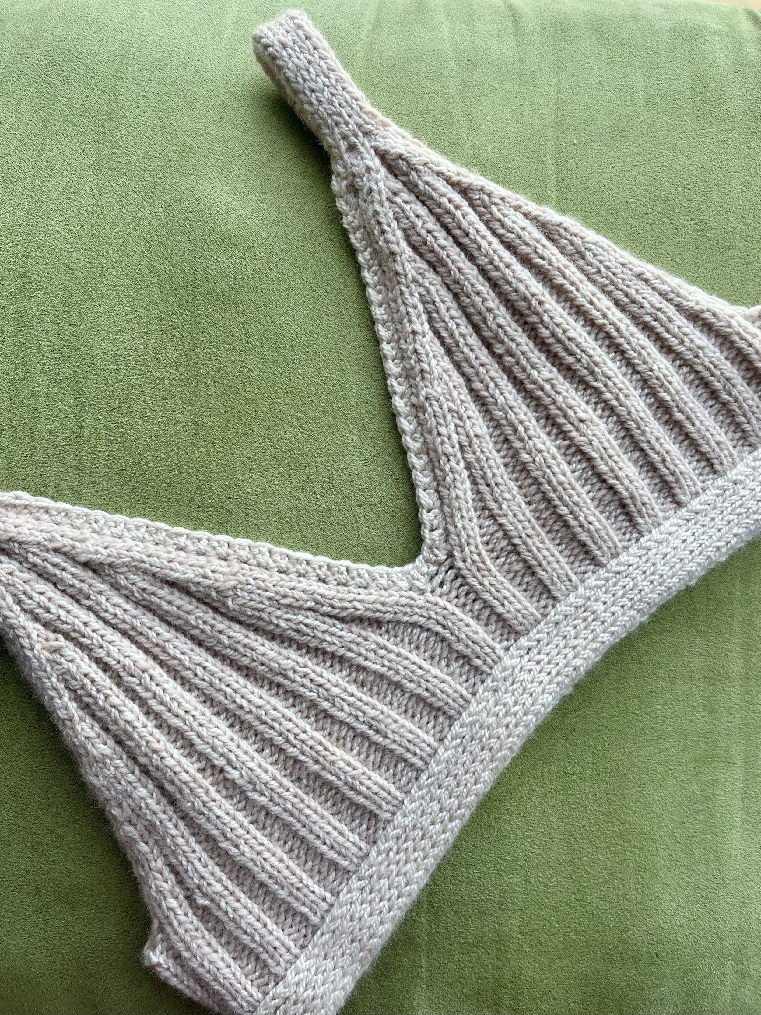 Dried Rose bralette on green pillow.jpg
