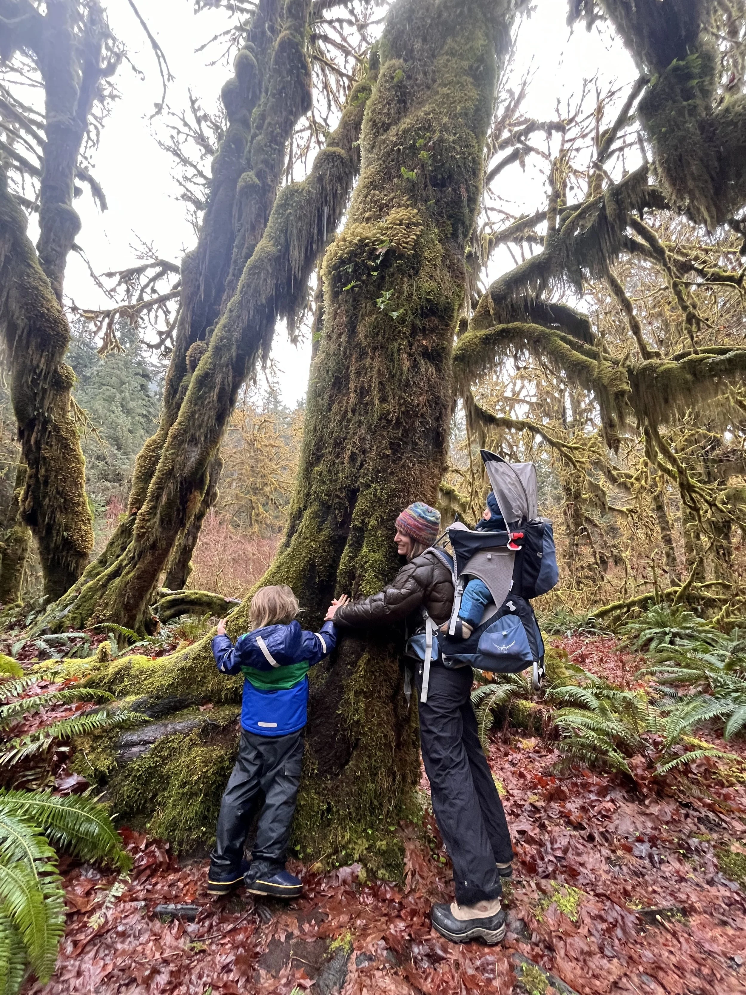 A woman with a young child, both wearing outdoor jackets, are hugging a moss-covered tree in a forest. The woman is carrying a backpack and the ground is covered with red and brown leaves. The background shows other trees and dense forest foliage.