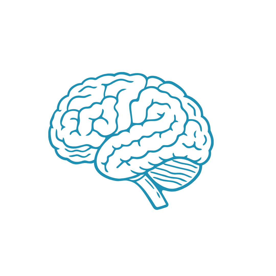 Line drawing of a human brain in blue on black background.