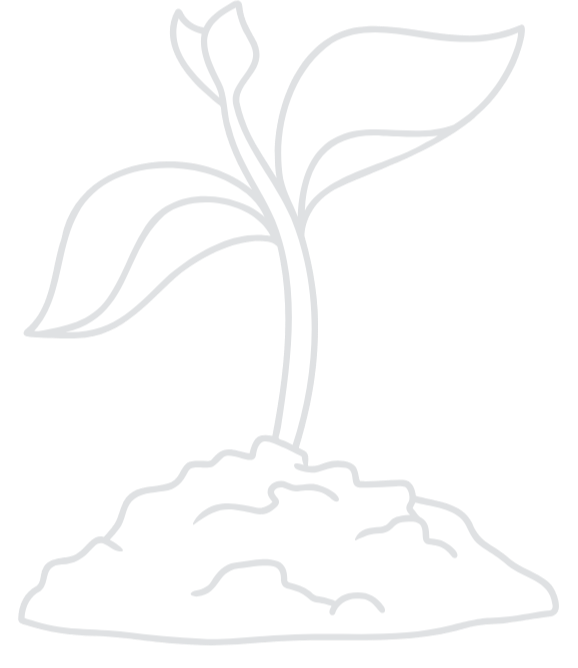 Line drawing of a sprouting young plant growing out of soil.