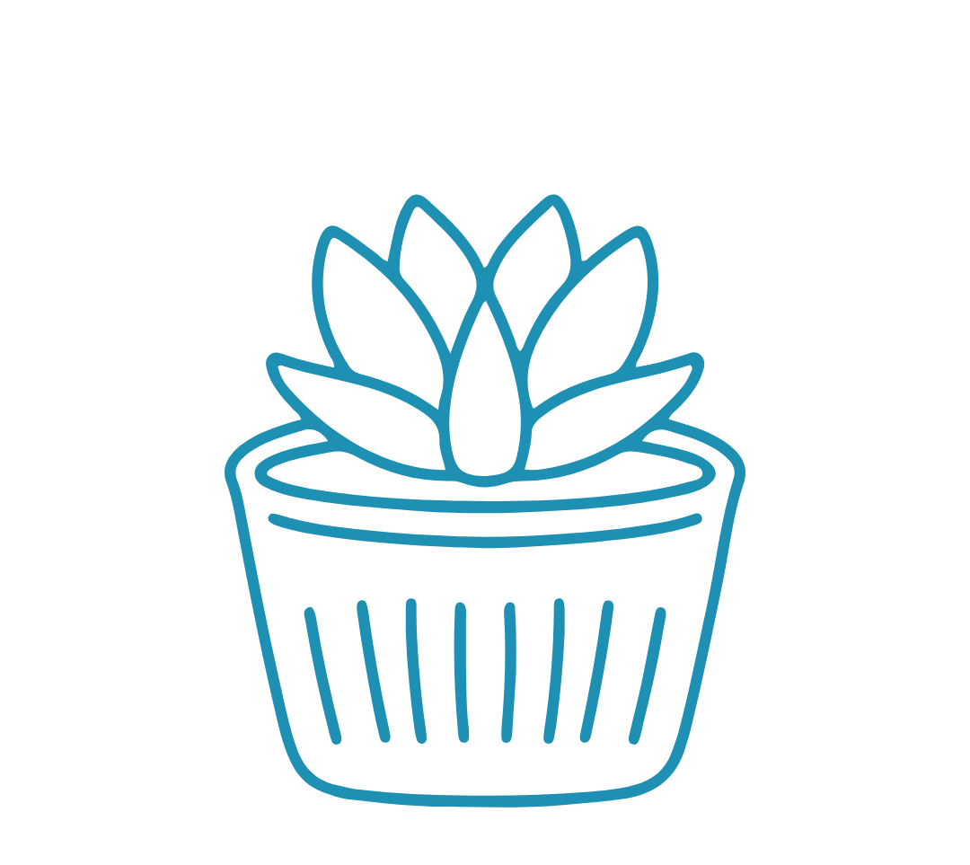 Line drawing of a potted succulent plant with pointed leaves in a striped pot.