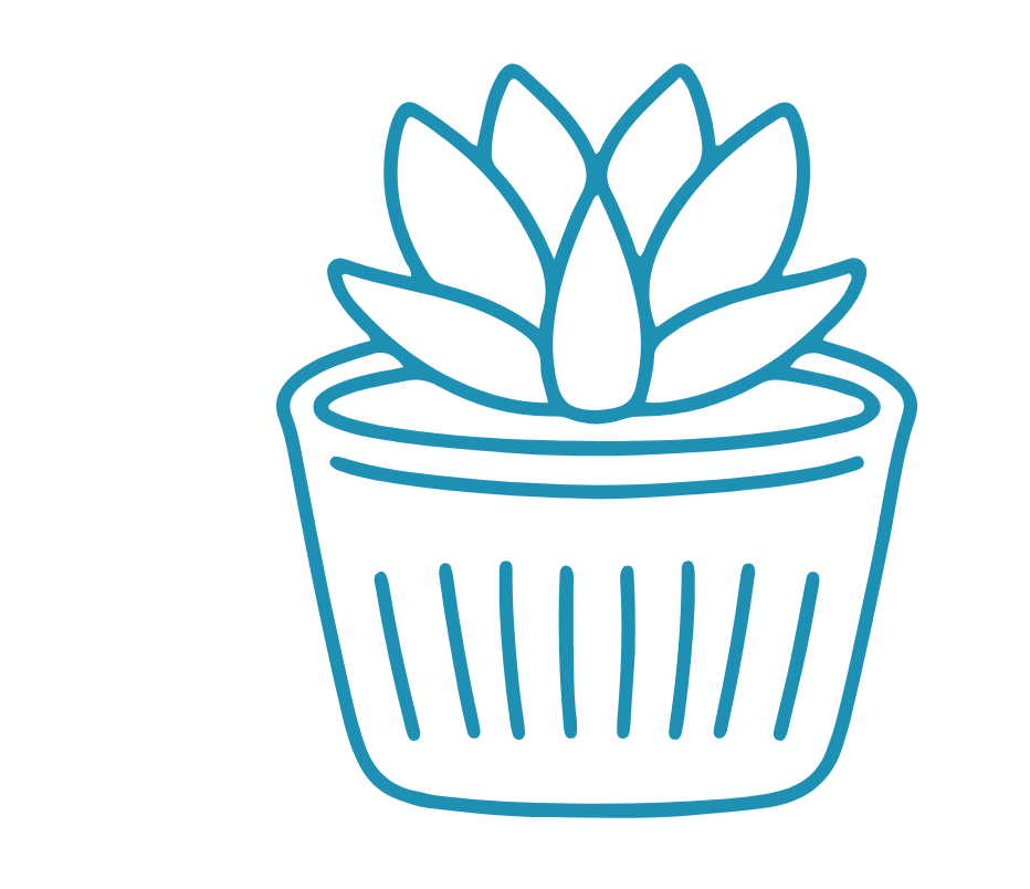 Outline drawing of a potted succulent plant in a small round pot.