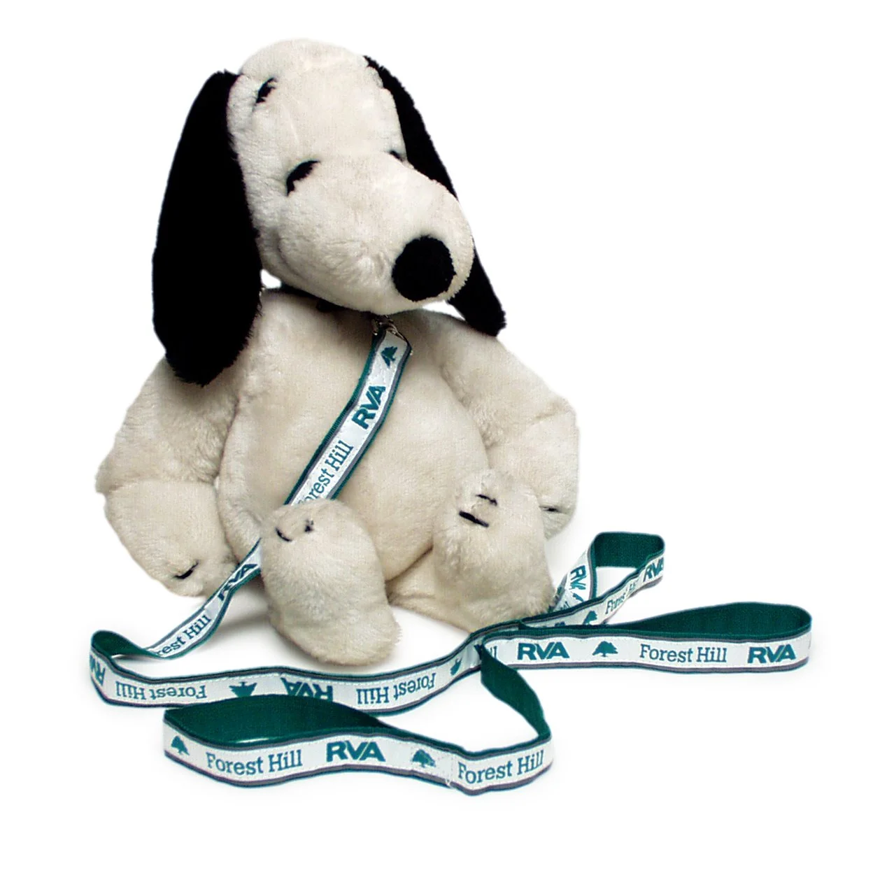 Leash with Snoopy.jpg
