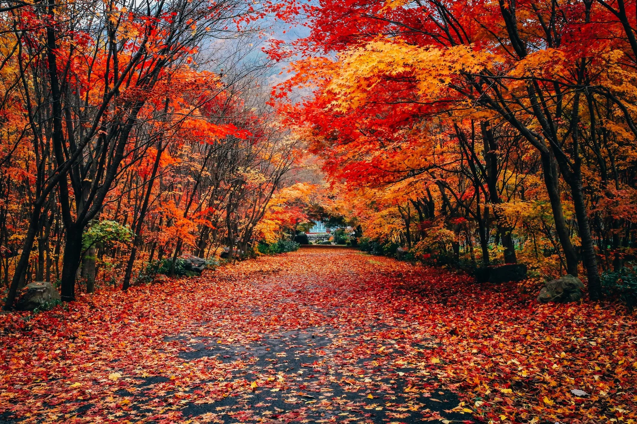 October News