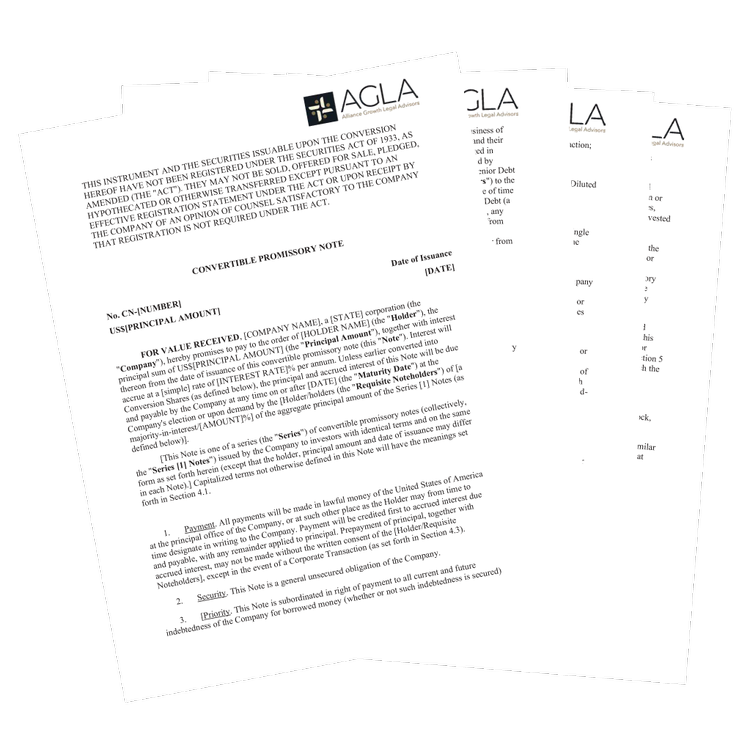 Convertible Promissory Note (Seed-Stage Startup)
