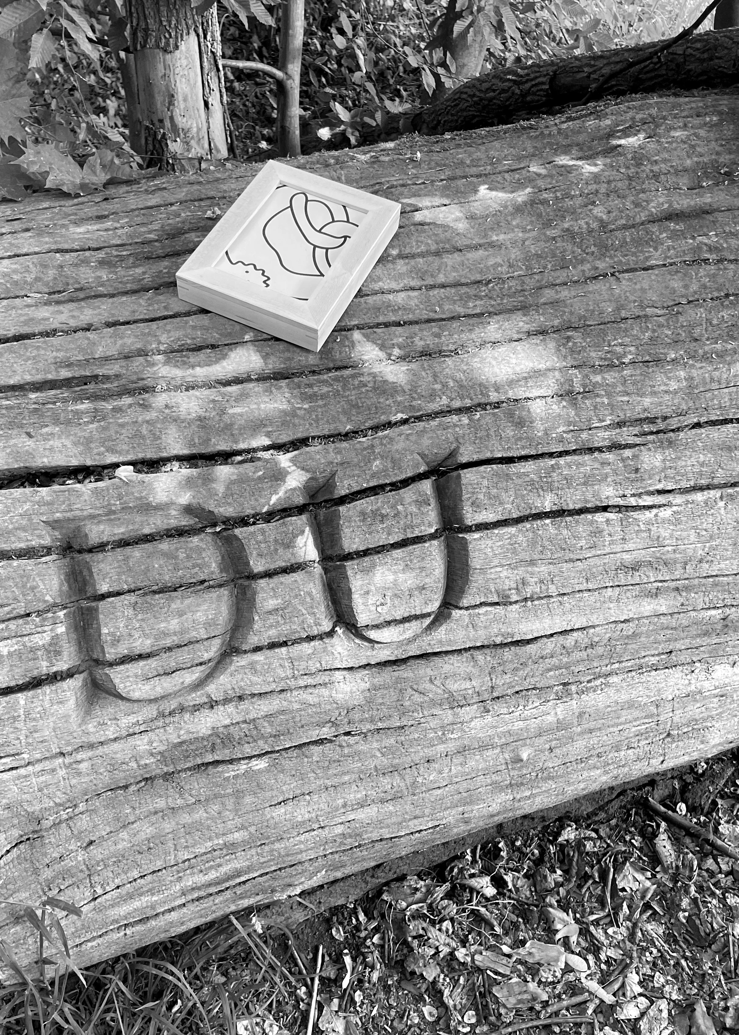 Ein Ahorn-Postkartenrahmen liegt auf einem gefällten Baumstamm, in den in großen Buchstaben "DU" eingraviert ist.