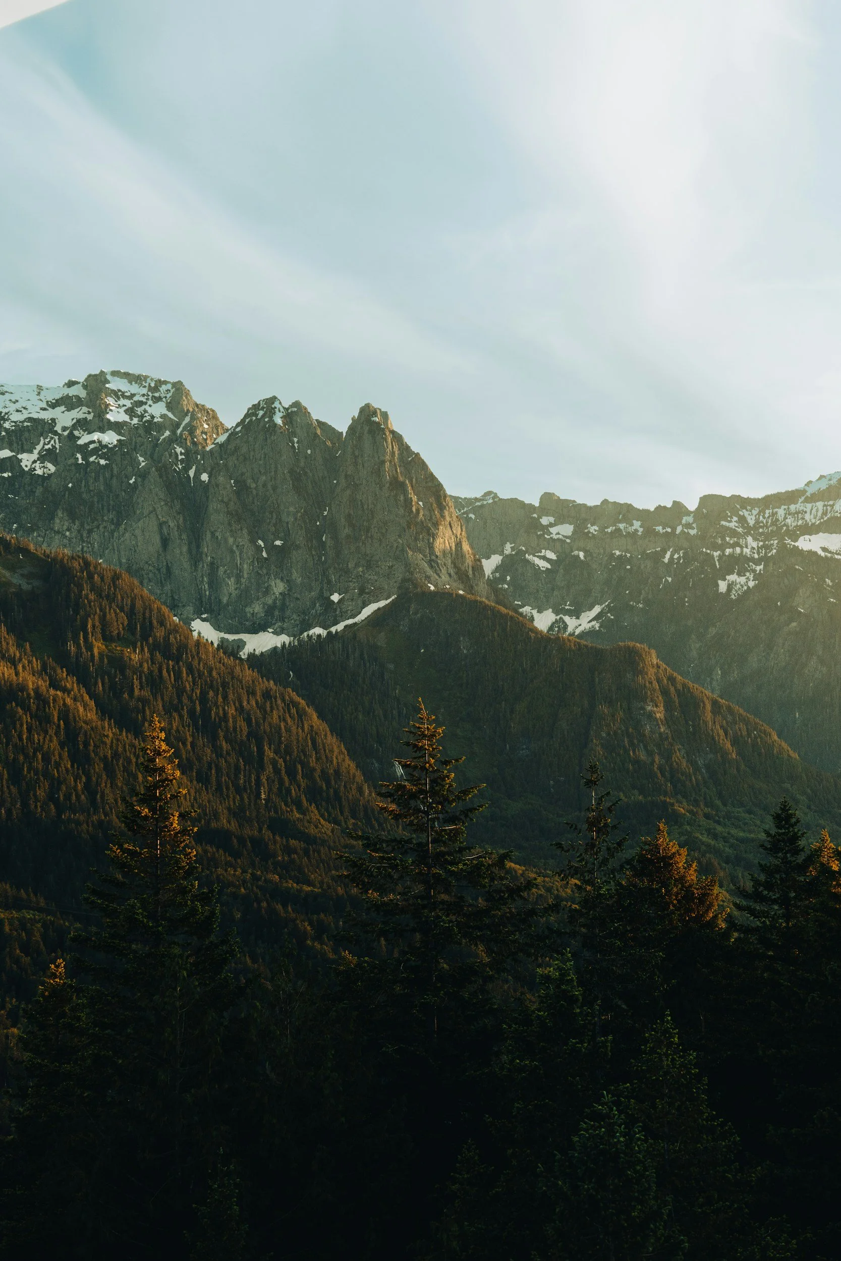 Sunlit mountain range with rocky peaks, snow patches, and a forest of pine trees in the foreground.