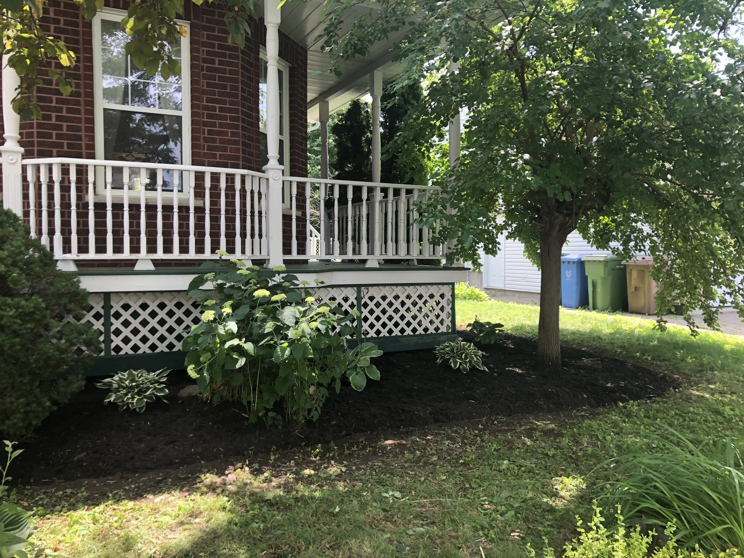 Une plate-bande avec un arbuste, des plantes et des hostas devant une maison à St-Basile.