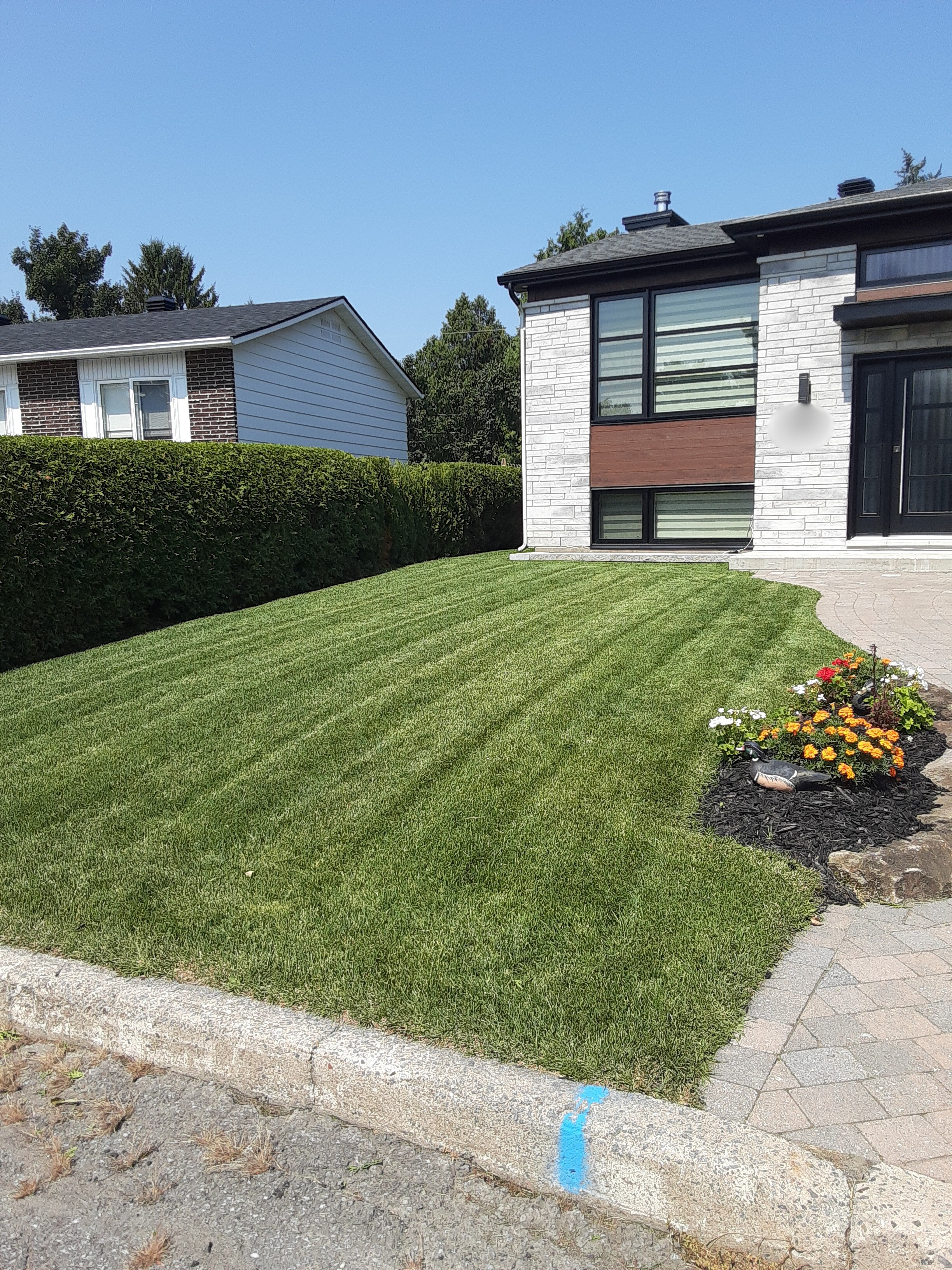 Un terrain bien entretenu avec du gazon vert et une plate-bande de fleurs avec du paillis à St-Basile.