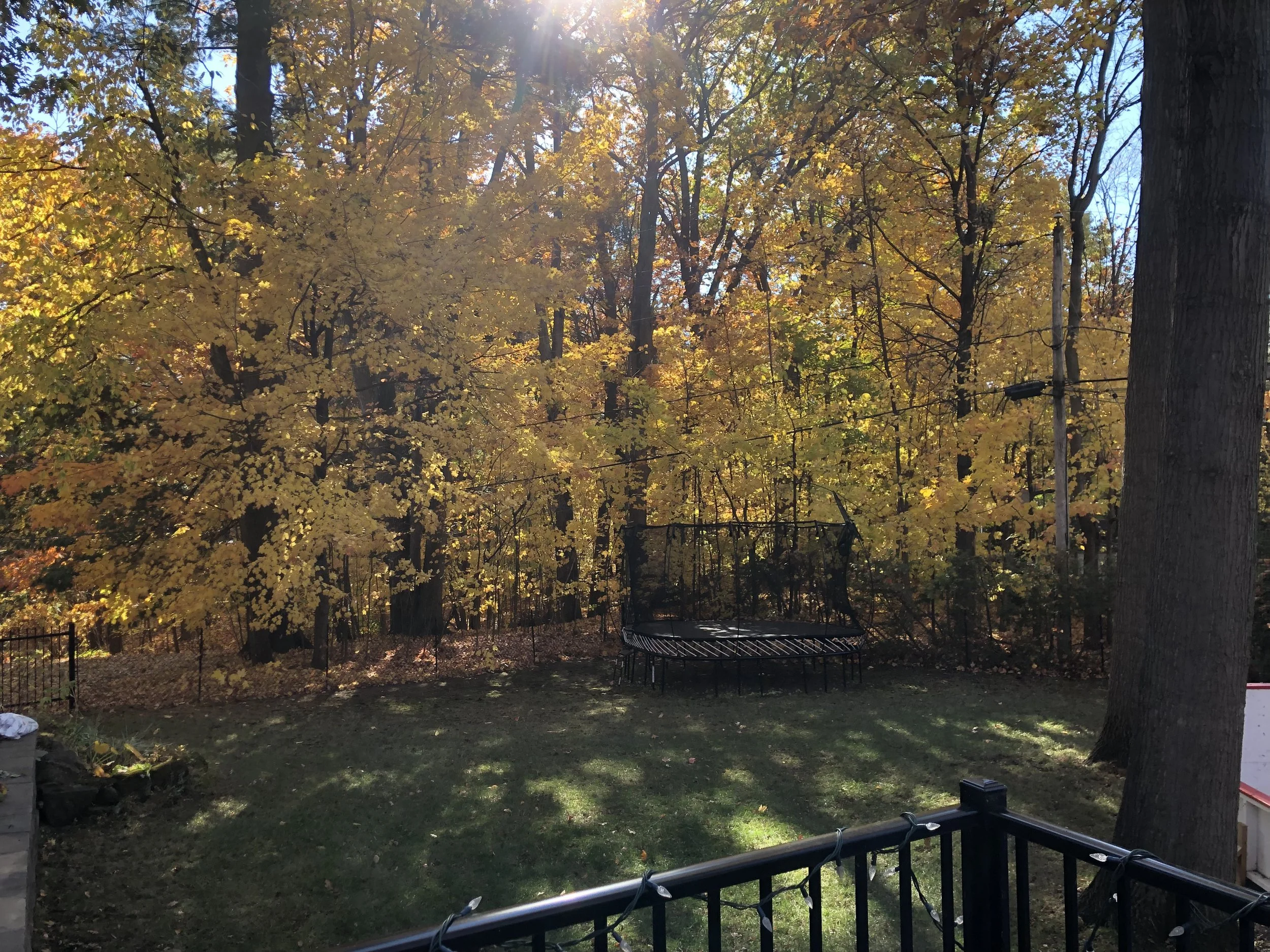 Un terrain arrière aprés un ramassage de feuilles et une fermeture de terrain à l'automne à Saint-Bruno.