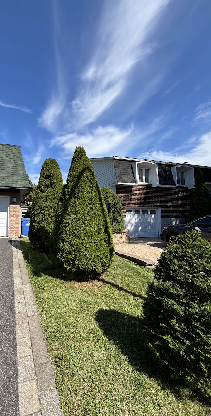 Une maison entourée de gazon vert bien entretenu et de cèdres taillés à Beloeil.