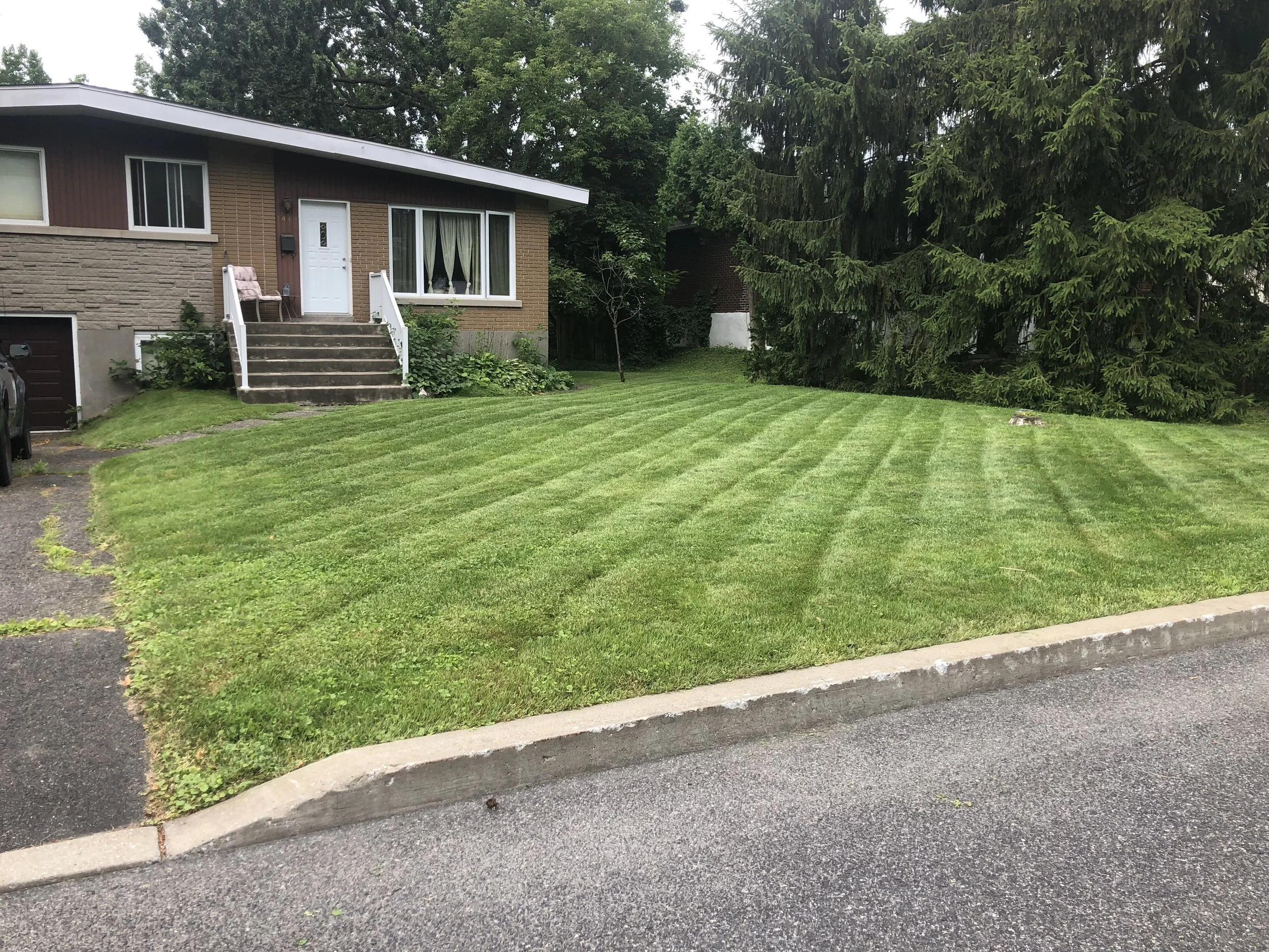 Un gazon tondu devant une maison entourée de grands arbres verts è St-Bruno.