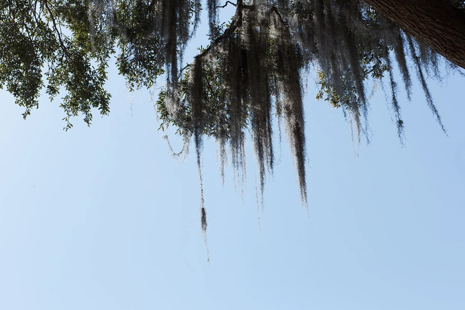 2022_03_05 HAL MINCHEW 90TH _BIRTHDAY_SAVANNAH_GEORGIA-8970.JPG