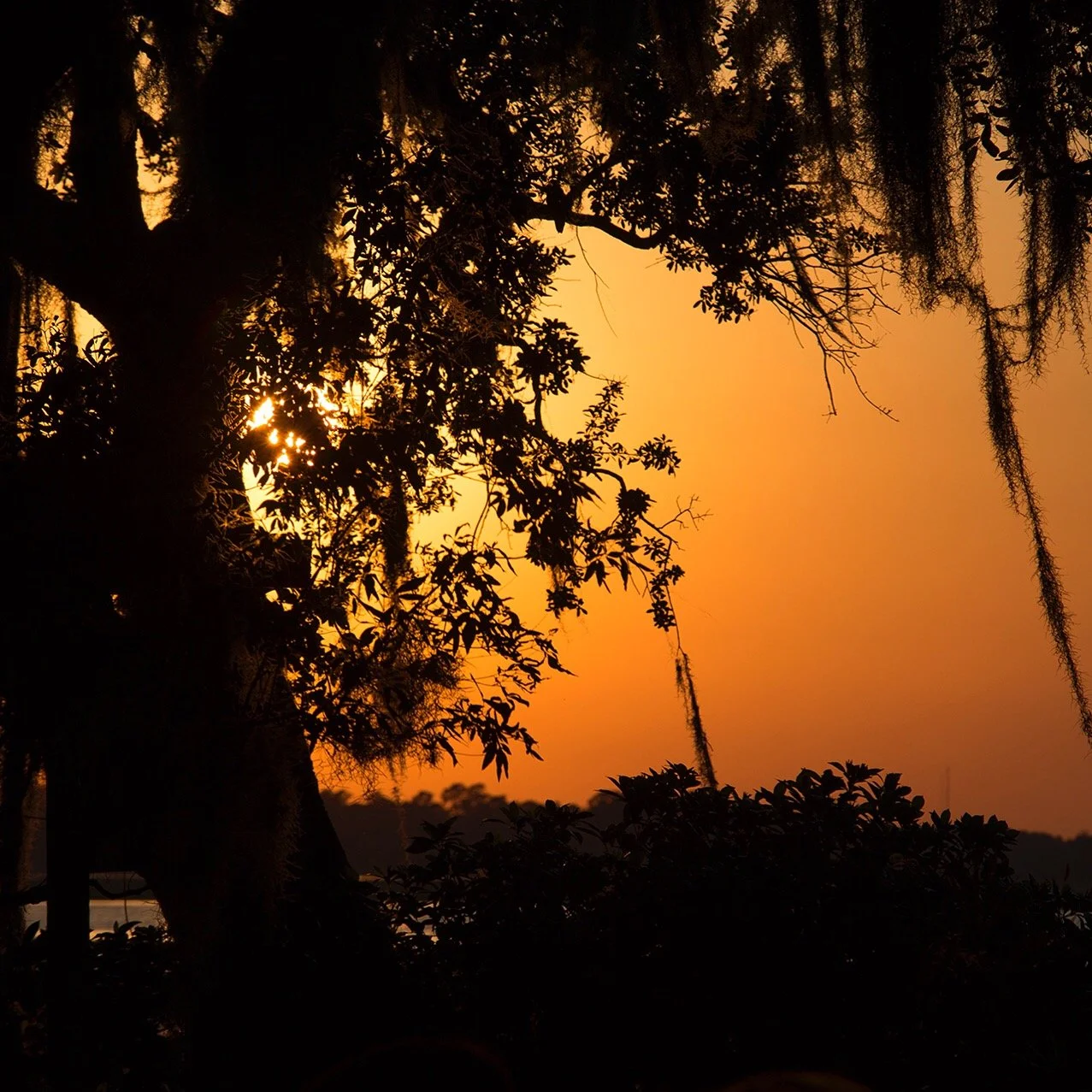 2016-05-07 19.58.33-1.jpg