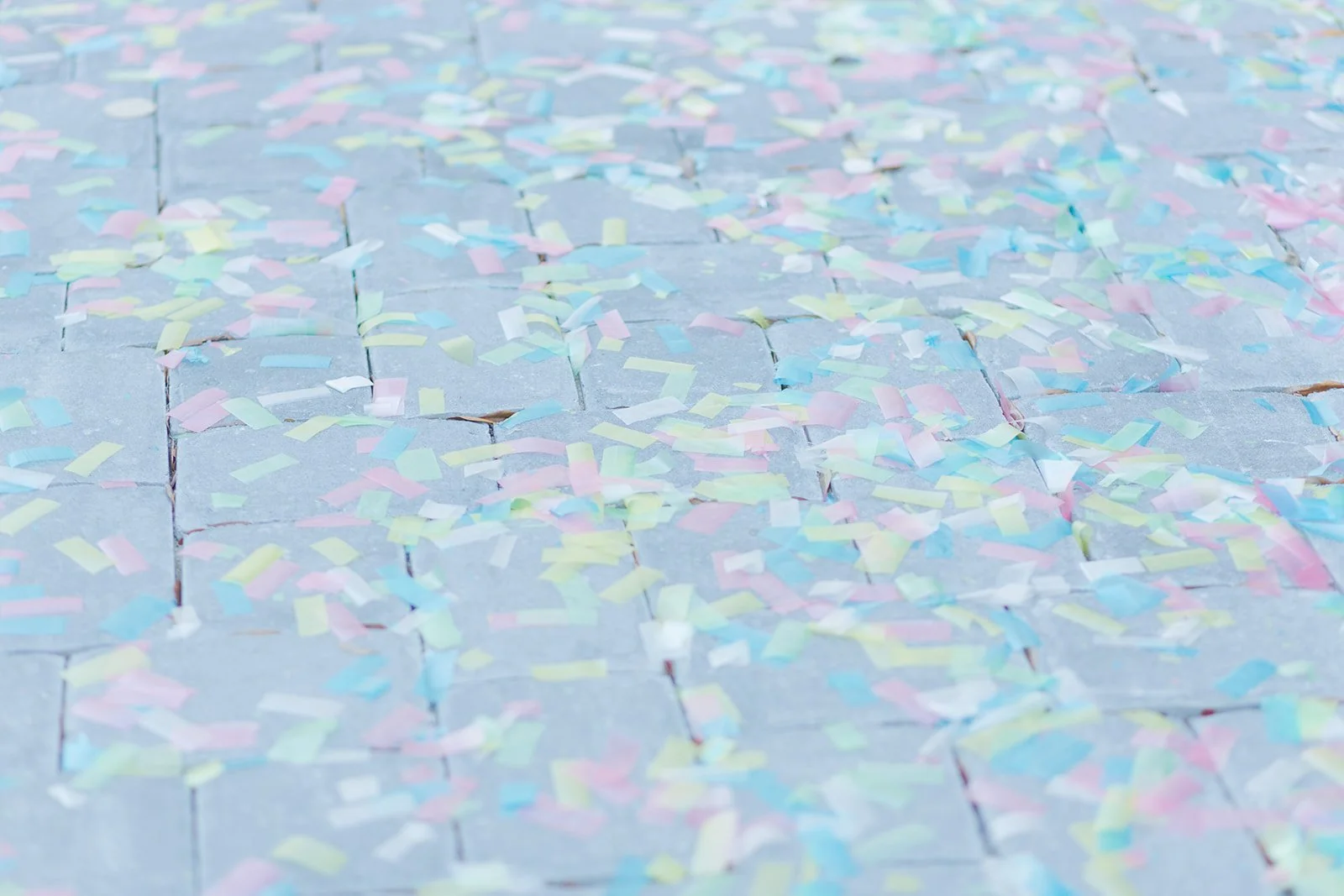 2022_03_05 HAL MINCHEW 90TH _BIRTHDAY_SAVANNAH_GEORGIA-9351.JPG