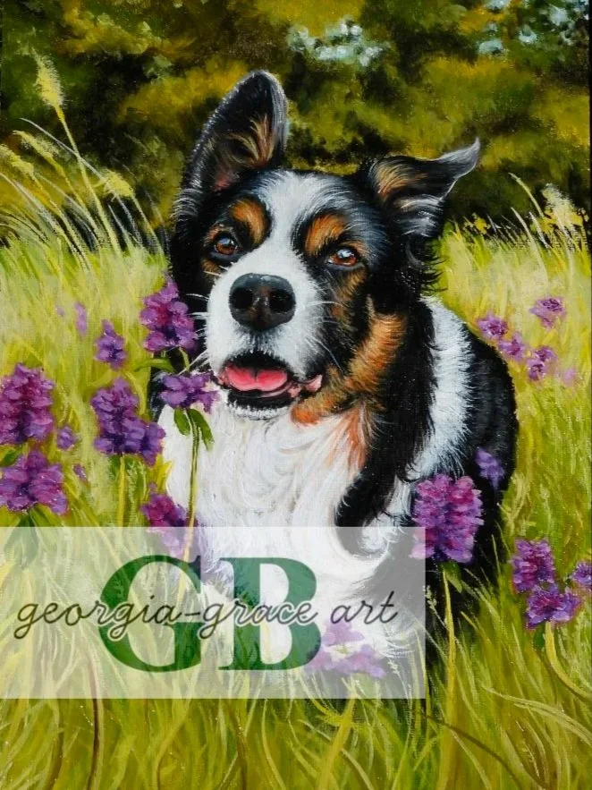 A painting of an Australian Shepherd dog with brown eyes sitting in a field of purple flowers and green grass, with a background of trees and blue sky.