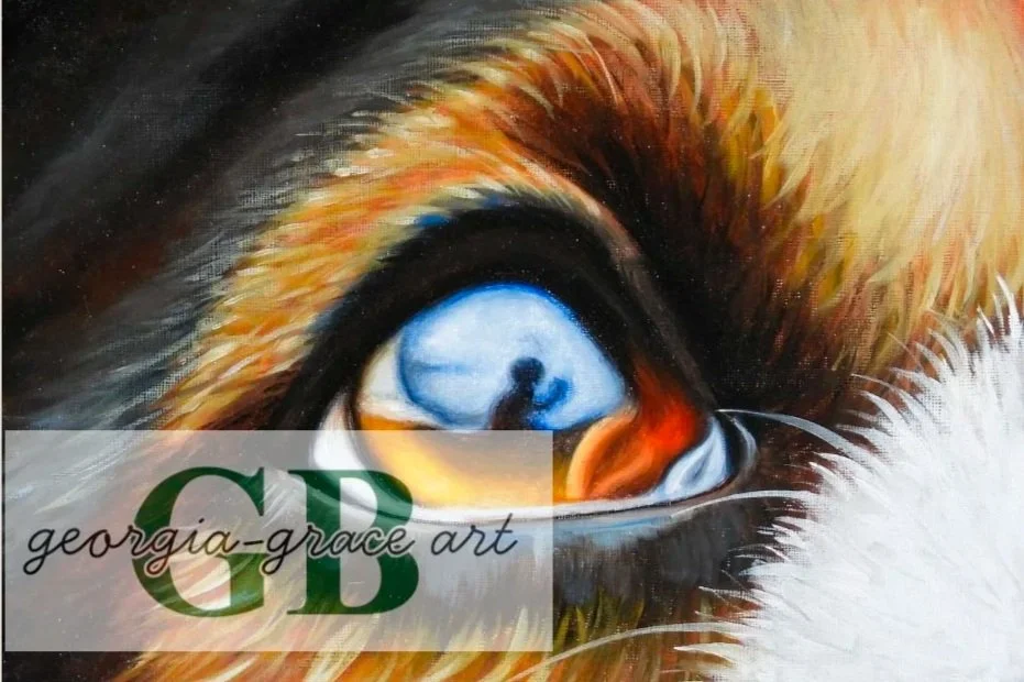 Close-up of a colorful dog’s eye with a reflection of a person taking a photo.