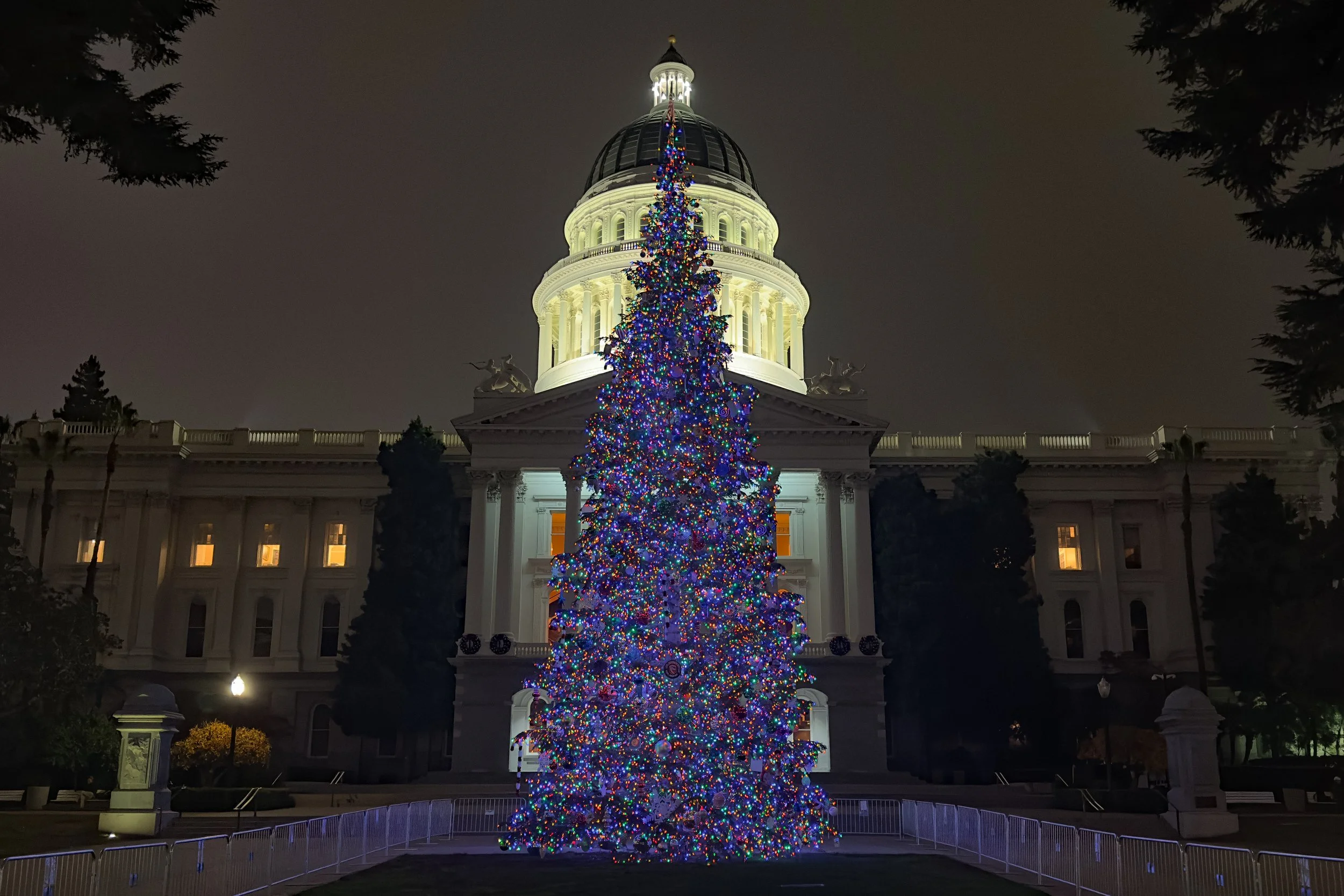 CA Capital Christmas Tree