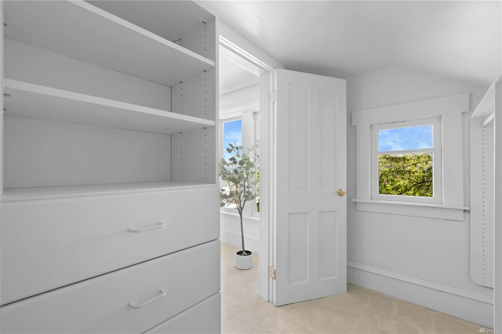 Empty white closet with open door, two windows showing trees and blue sky outside, and a potted plant on the carpeted floor.