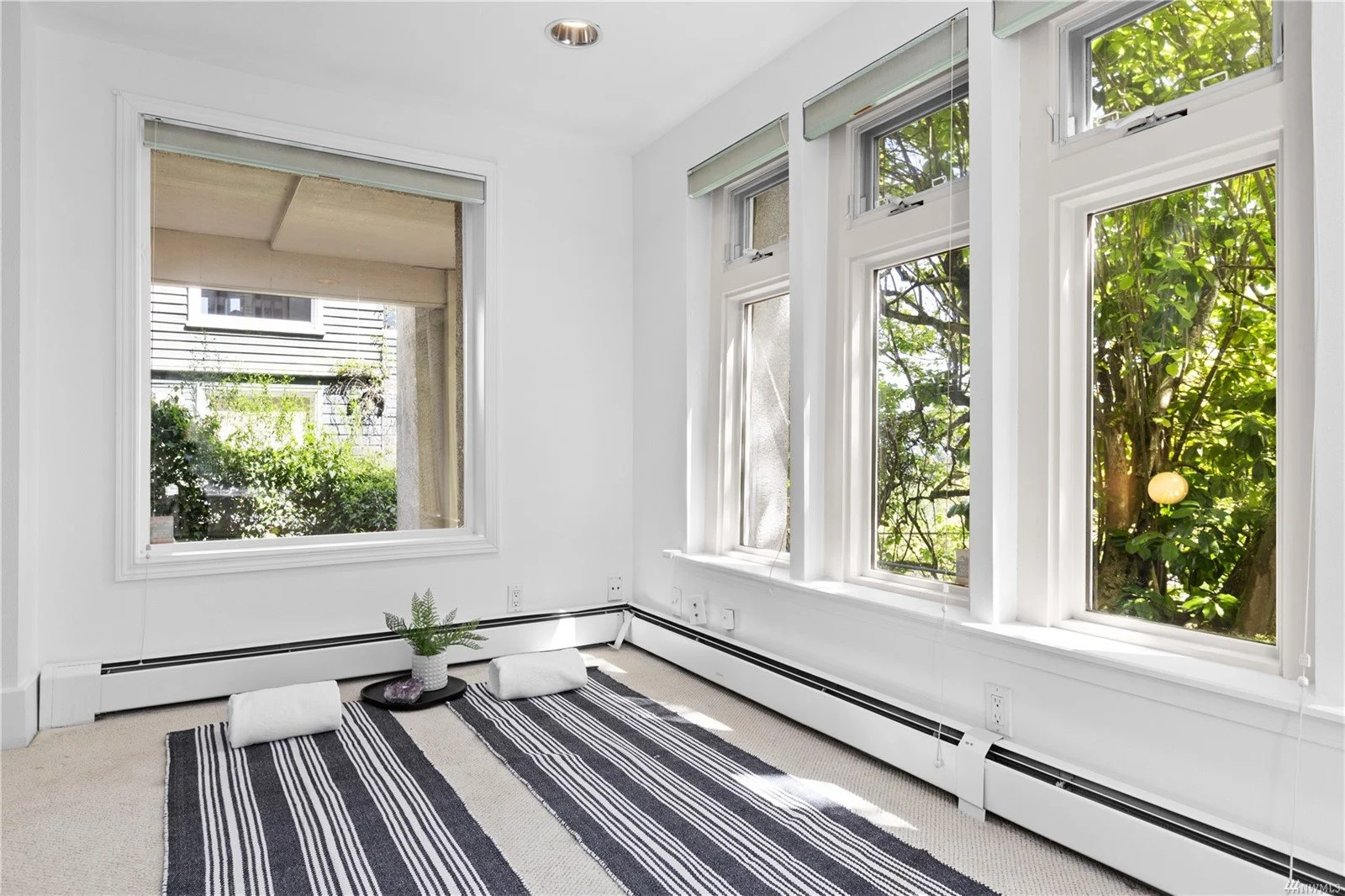 Empty room with large windows, a striped rug, and a small plant.