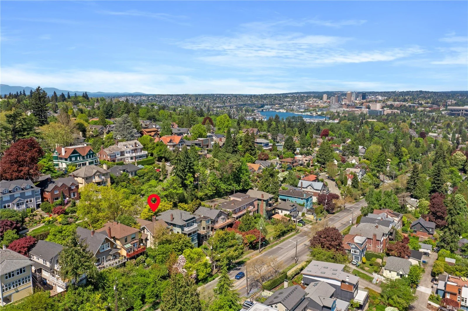 Aerial view of a residential neighborhood with lush green trees, houses, and a distant city skyline with water and hills in the background on a bright, clear day.
