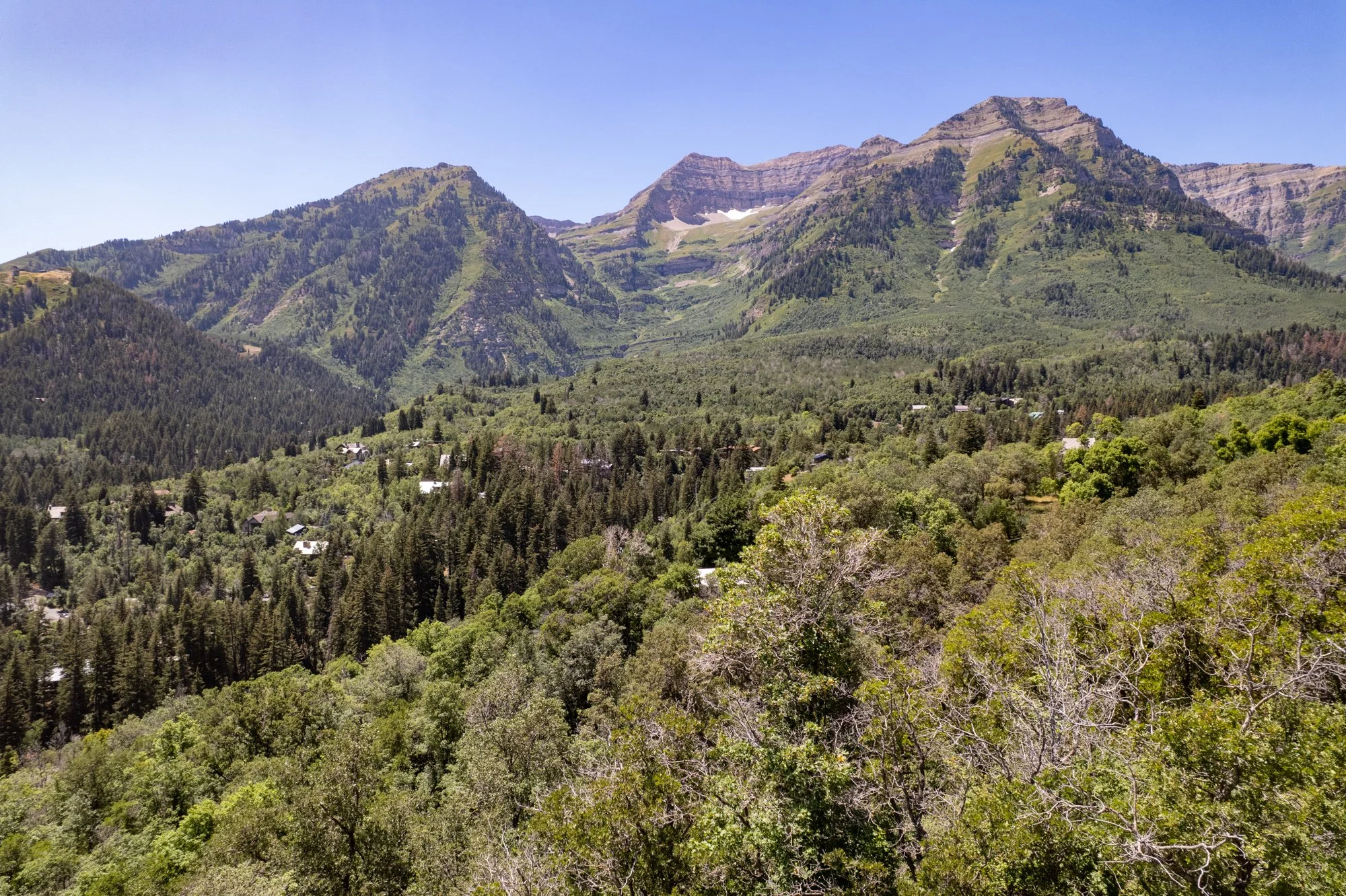 Mountain landscape with lush green forest and small houses in the foreground, with tall mountains in the background under a clear blue sky.