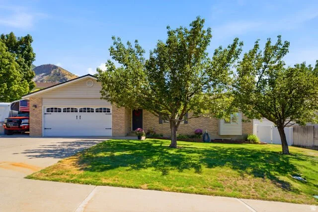 428 N 1180 E 4 Pleasant Grove, UT 84062 1_2_gallery.jpg