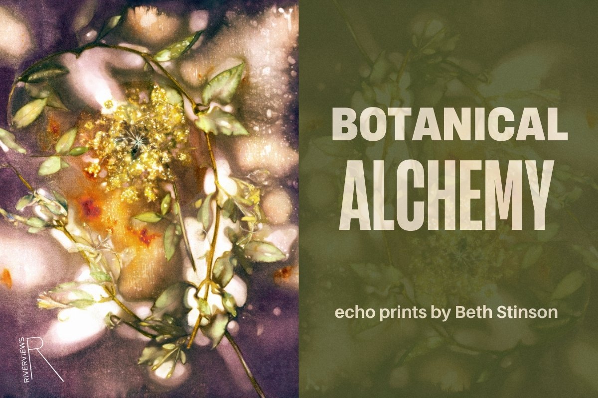 Botanical Alchemy: Echo Prints by Beth Stinson
