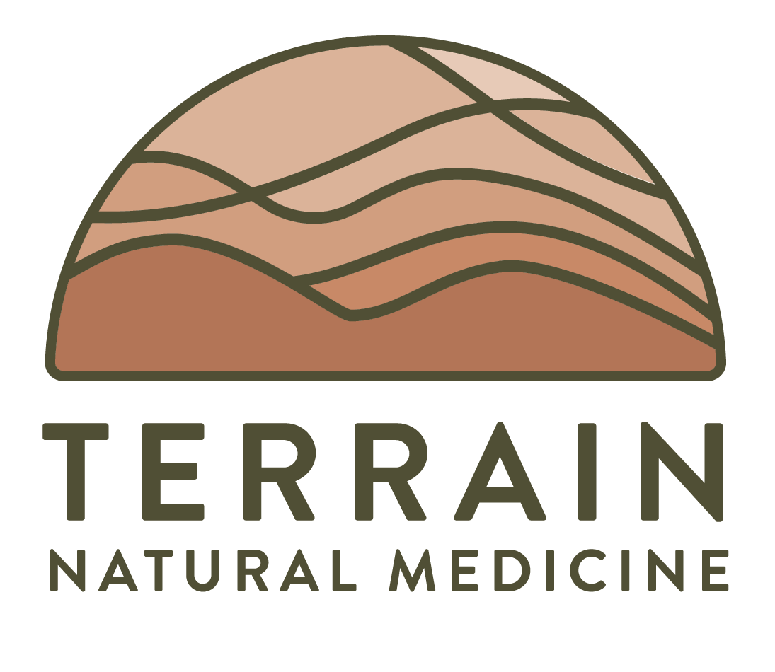 Logo of Terrain Natural Medicine featuring a semi-circle with layered land contours in earth tones and the brand name beneath.