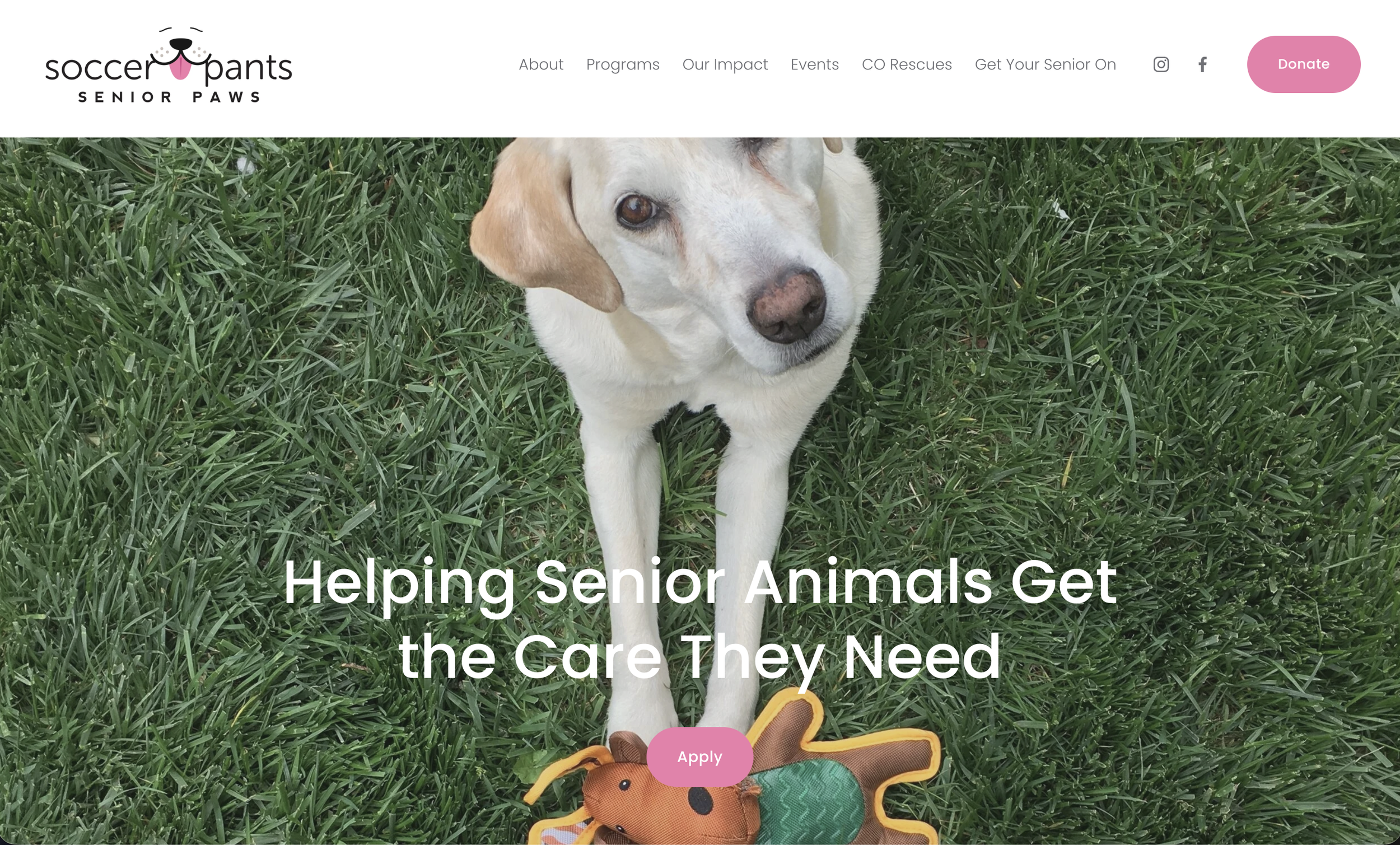 Soccer Pants Senior Paws Nonprofit