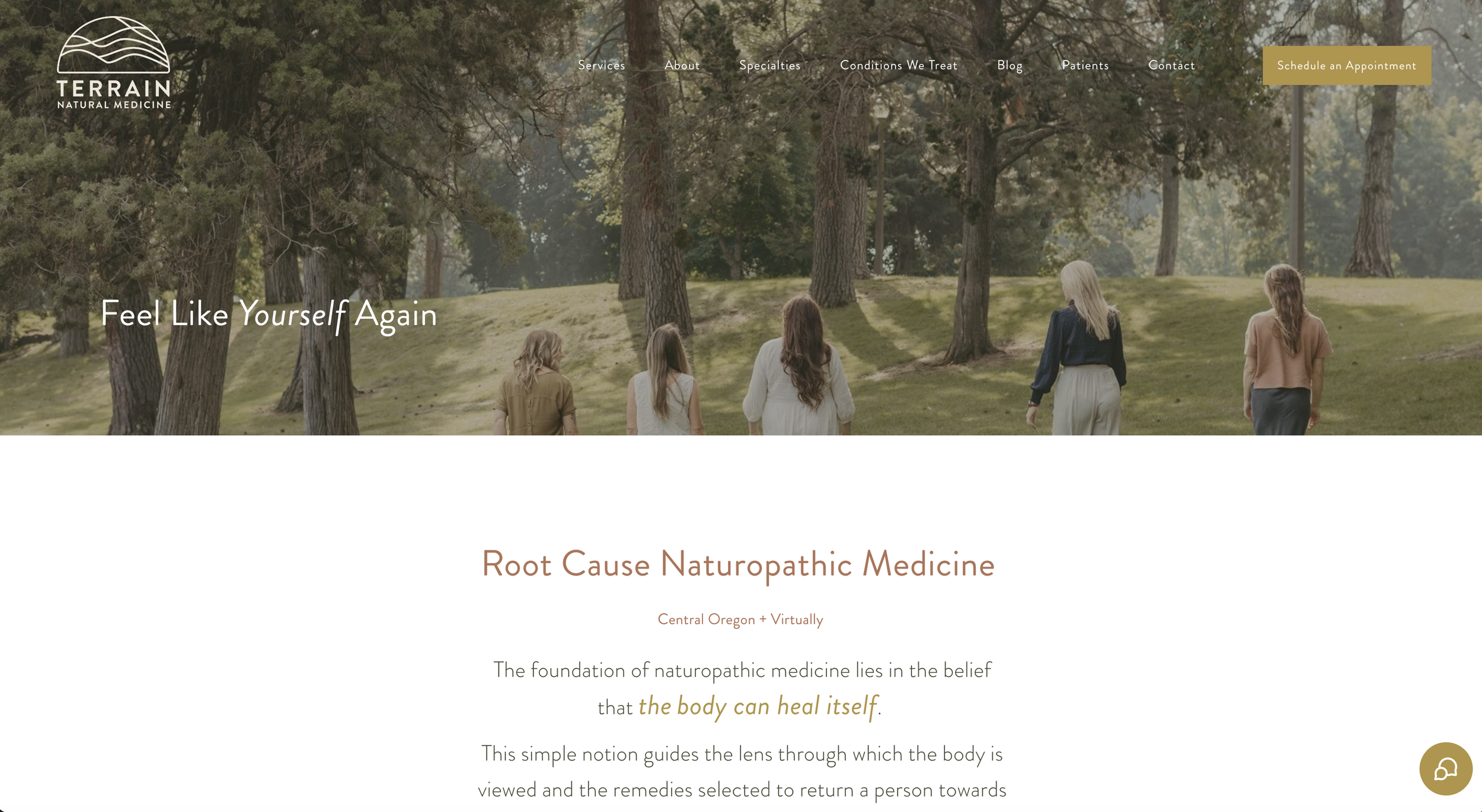 Homepage of a naturopathic medicine website showing a landscape with five women walking in a park with trees, the logo reads "TERRAIN Natural Medicine", and navigation menu with options for Services, About, Specialties, Conditions We Treat, Blog, Patients, Contact, and a yellow button to "Schedule an Appointment".