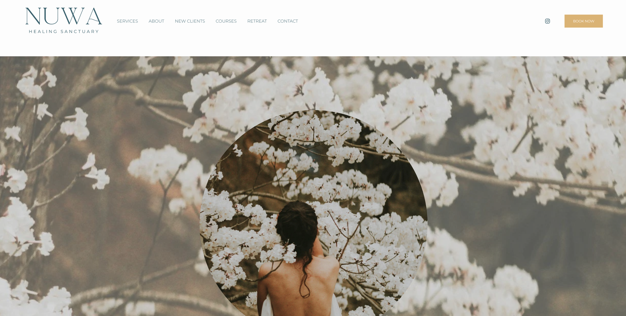 A woman with dark, curly hair sits with her back to the camera among blooming white cherry blossoms.