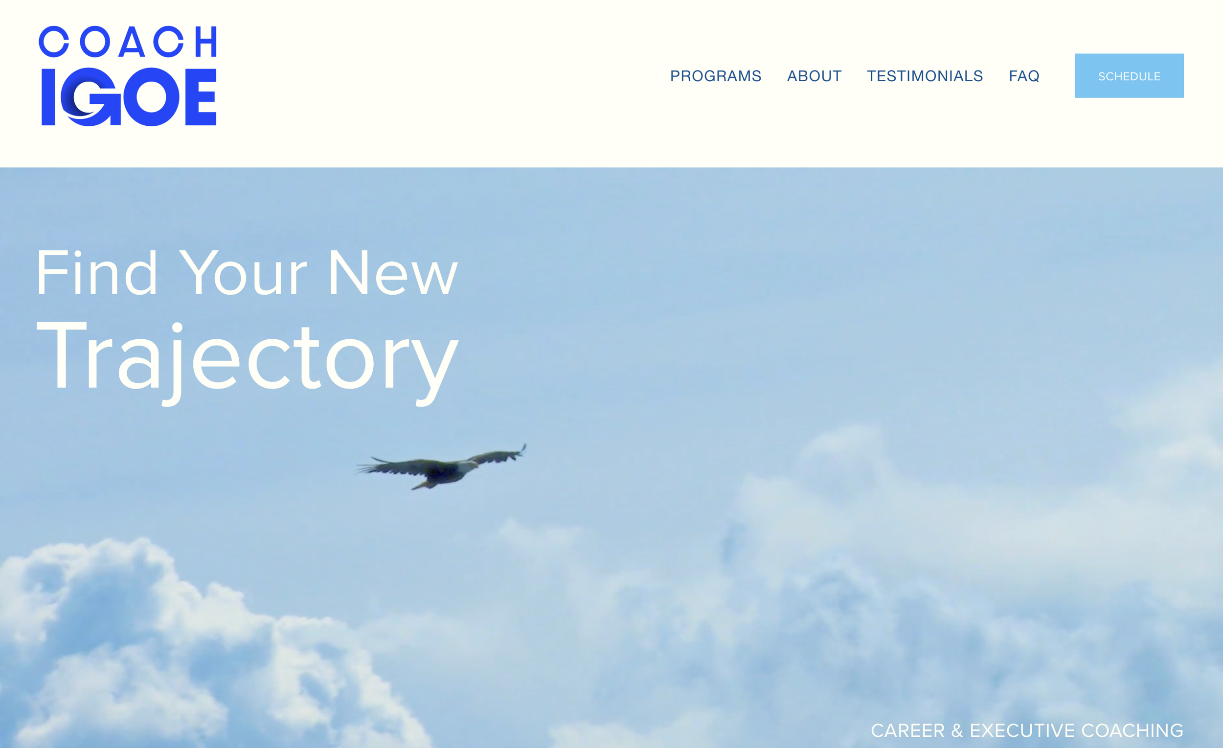 Coach Igoe Career Coaching