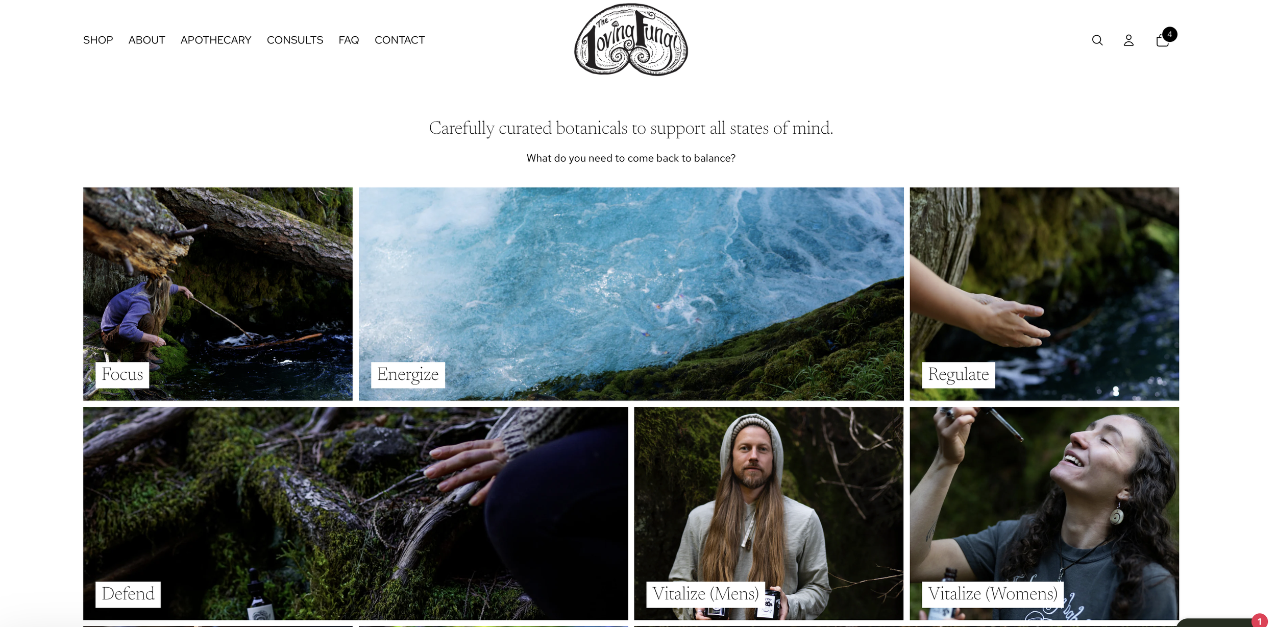 Website homepage for a brand called 'The Loving Tana,' featuring a navigation menu with links to SHOP, ABOUT, APOTHECARY, CONSULTS, FAQ, and CONTACT. The tagline reads "Carefully curated botanicals to support all states of mind," with a question "What do you need to come back to balance?" Below are six images with labels: 'Focus,' 'Energize,' 'Regulate,' 'Defend,' 'Vitalize (Mens),' and 'Vitalize (Womens).' The images depict people interacting with nature and surrounding greenery.