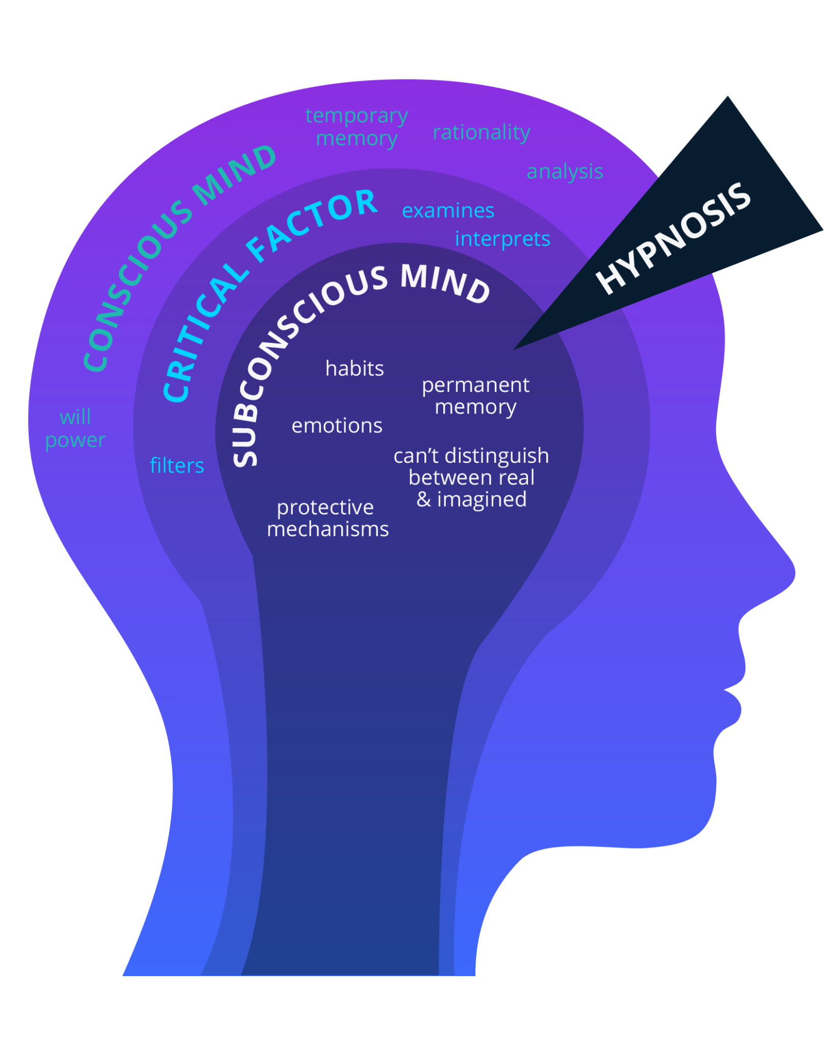 Diagram of the human mind with layers labeled subconscious mind, critical factor, conscious mind, and the influence of hypnosis, showing concepts like habits, emotions, and memory.