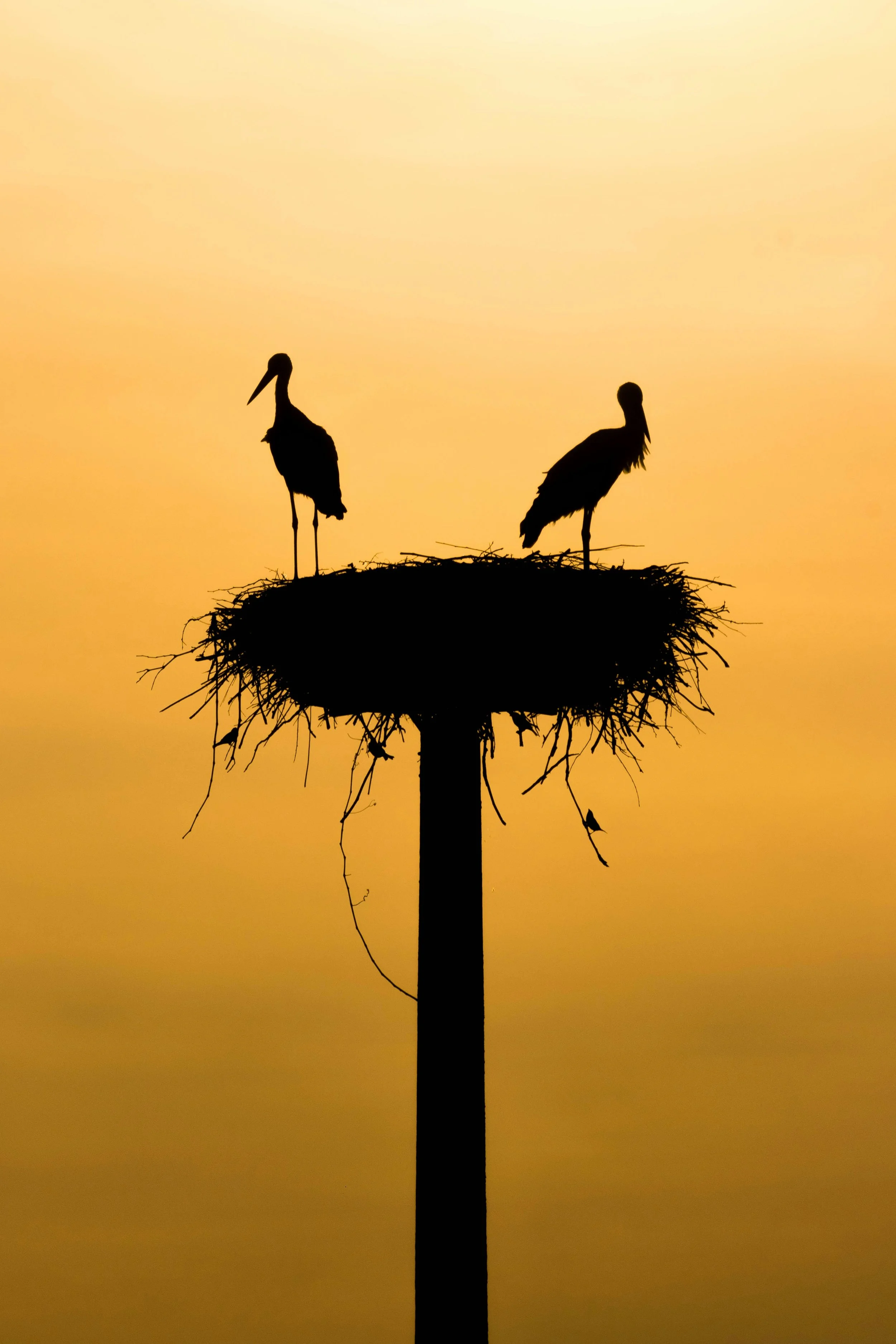 What Is Empty Nest Syndrome — And How Do You Move Through It?