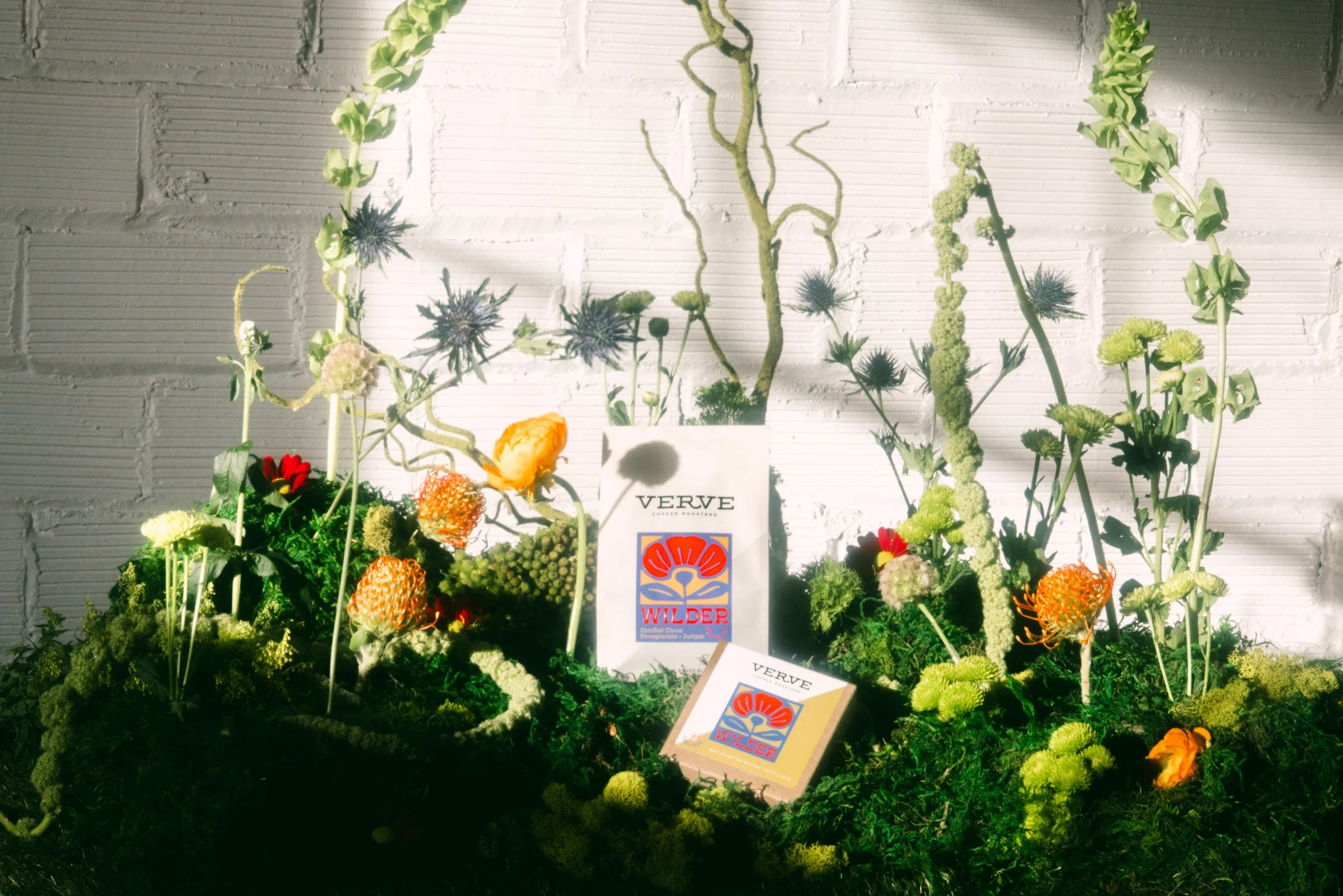 Verve Coffee | Wilder Blend