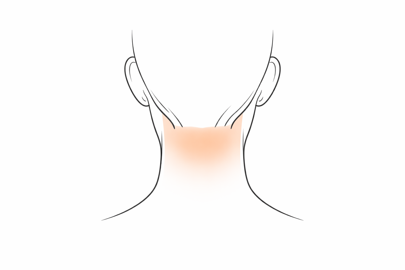 Nape of Neck