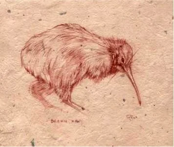 kiwi.jpg