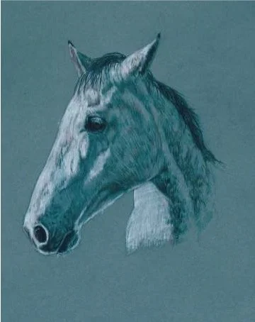 horse 1.jpg