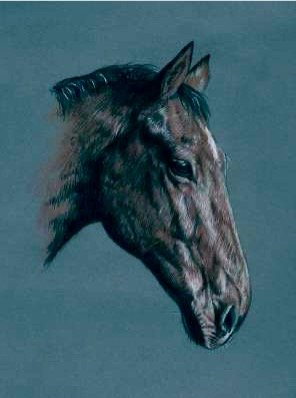 horse 3.jpg