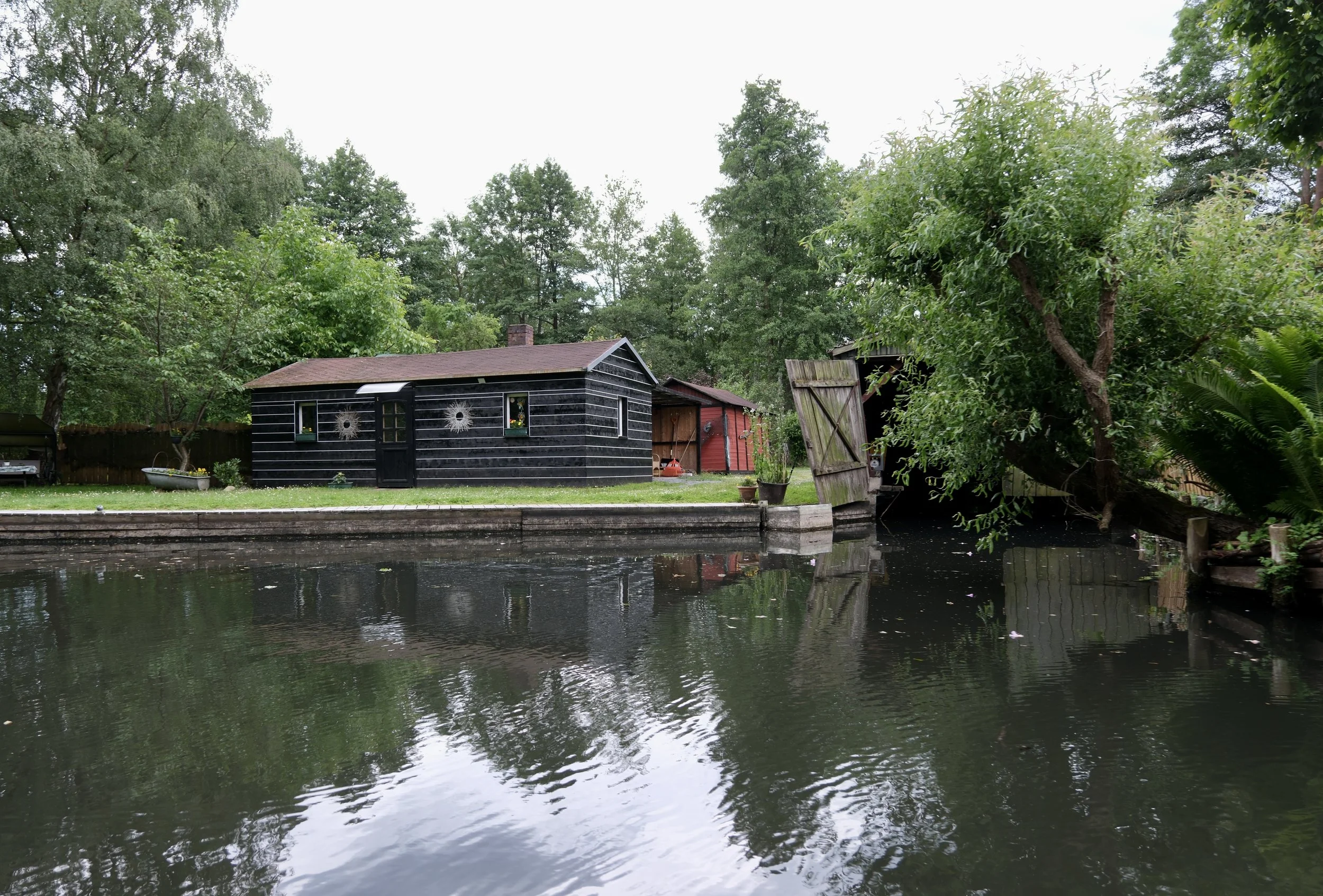 DSCF1631.jpg