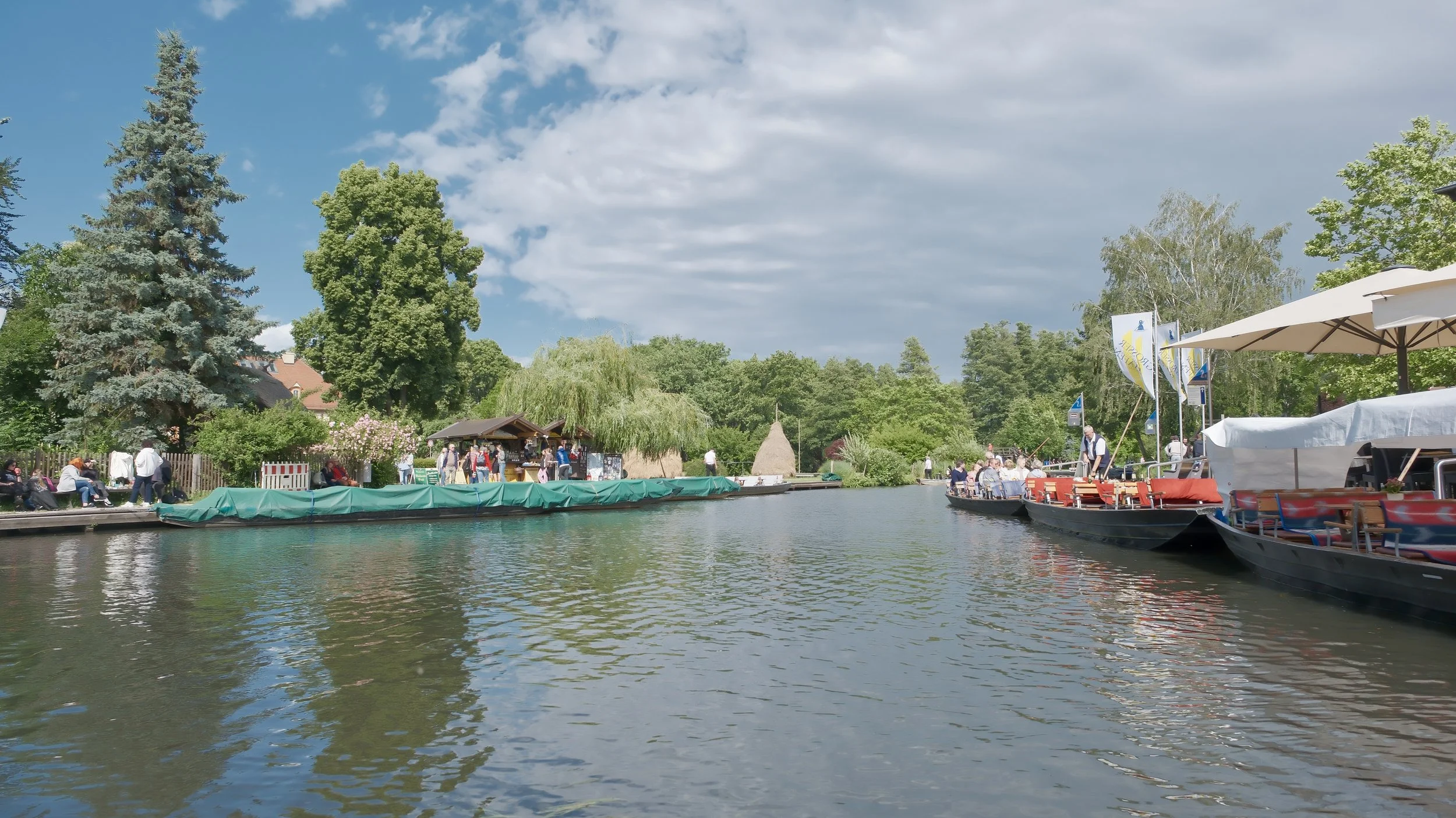 DSCF1590.jpg