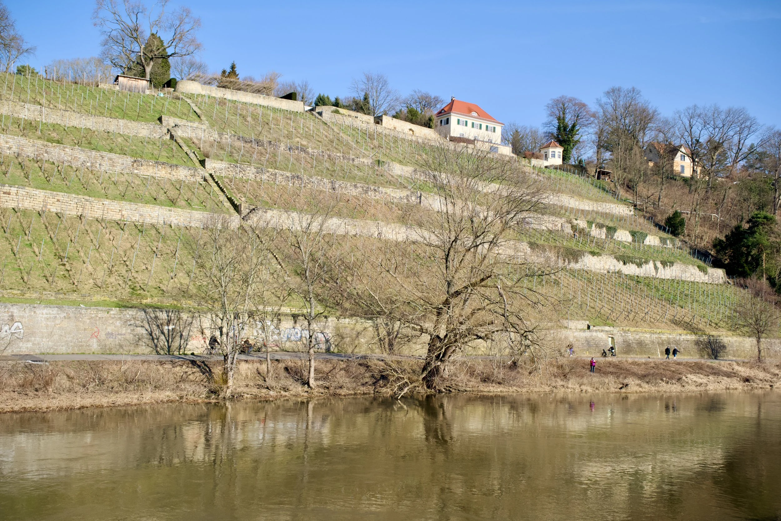 DSCF0774.jpg