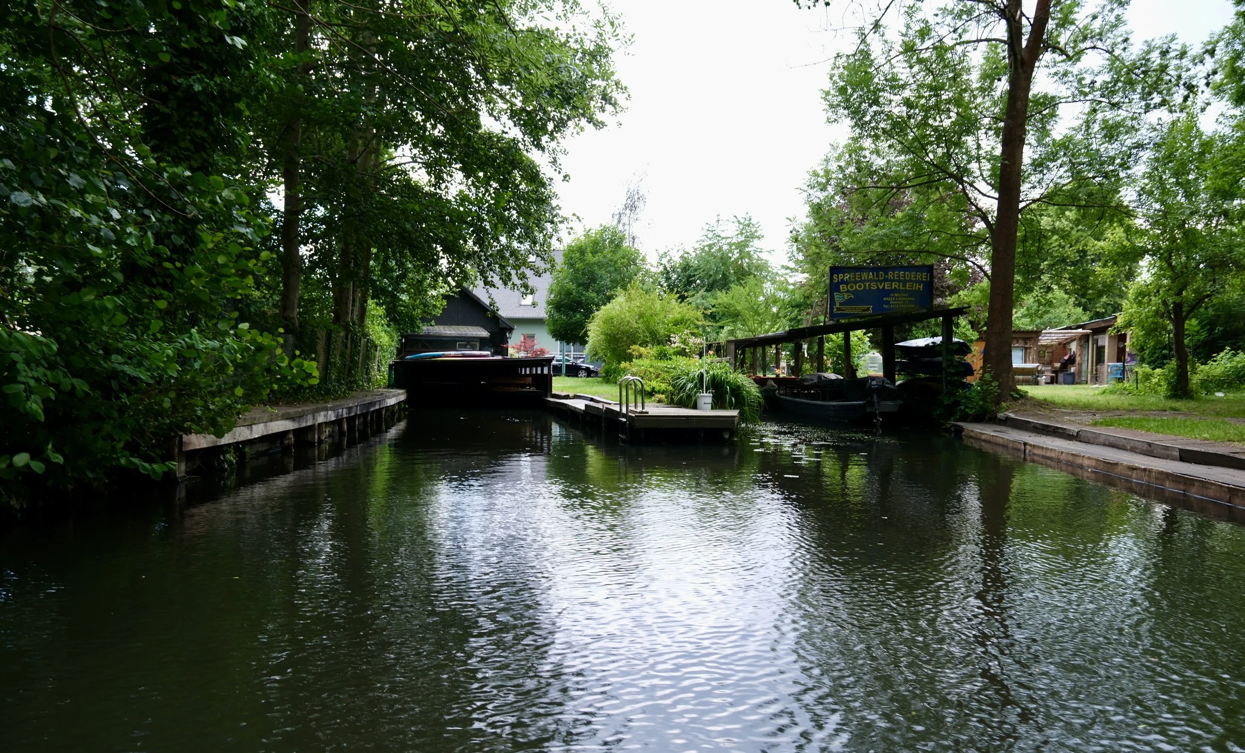 DSCF1611.jpg