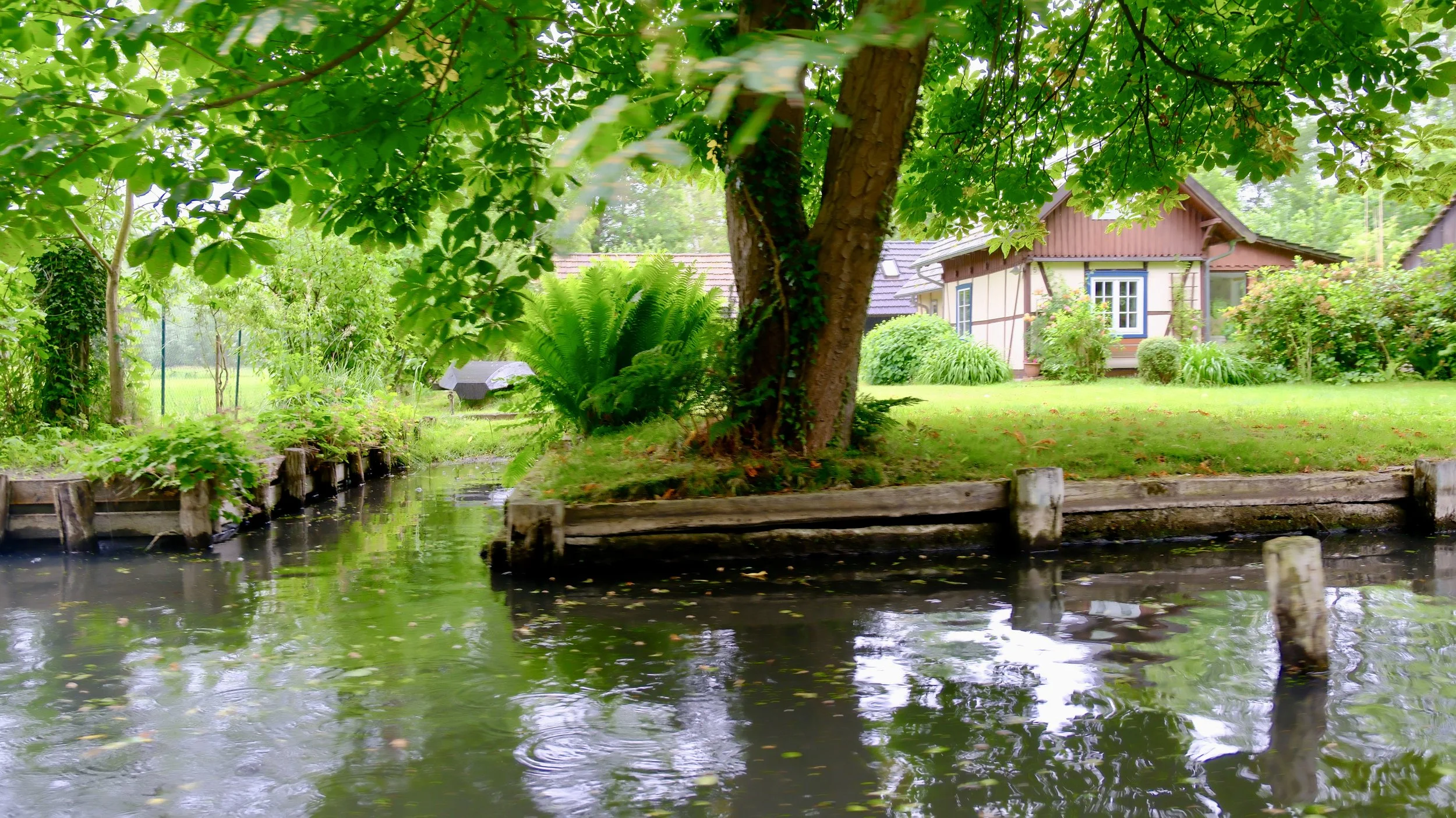 DSCF1658.jpg